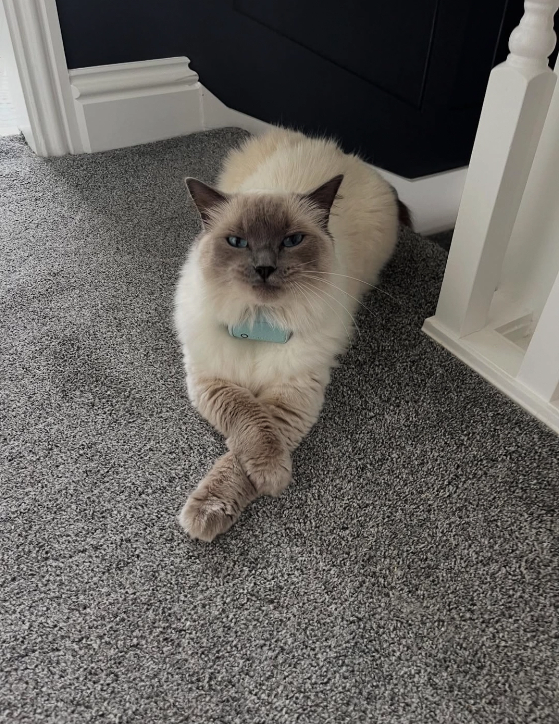 Winter - Lovett Road, Portsmouth