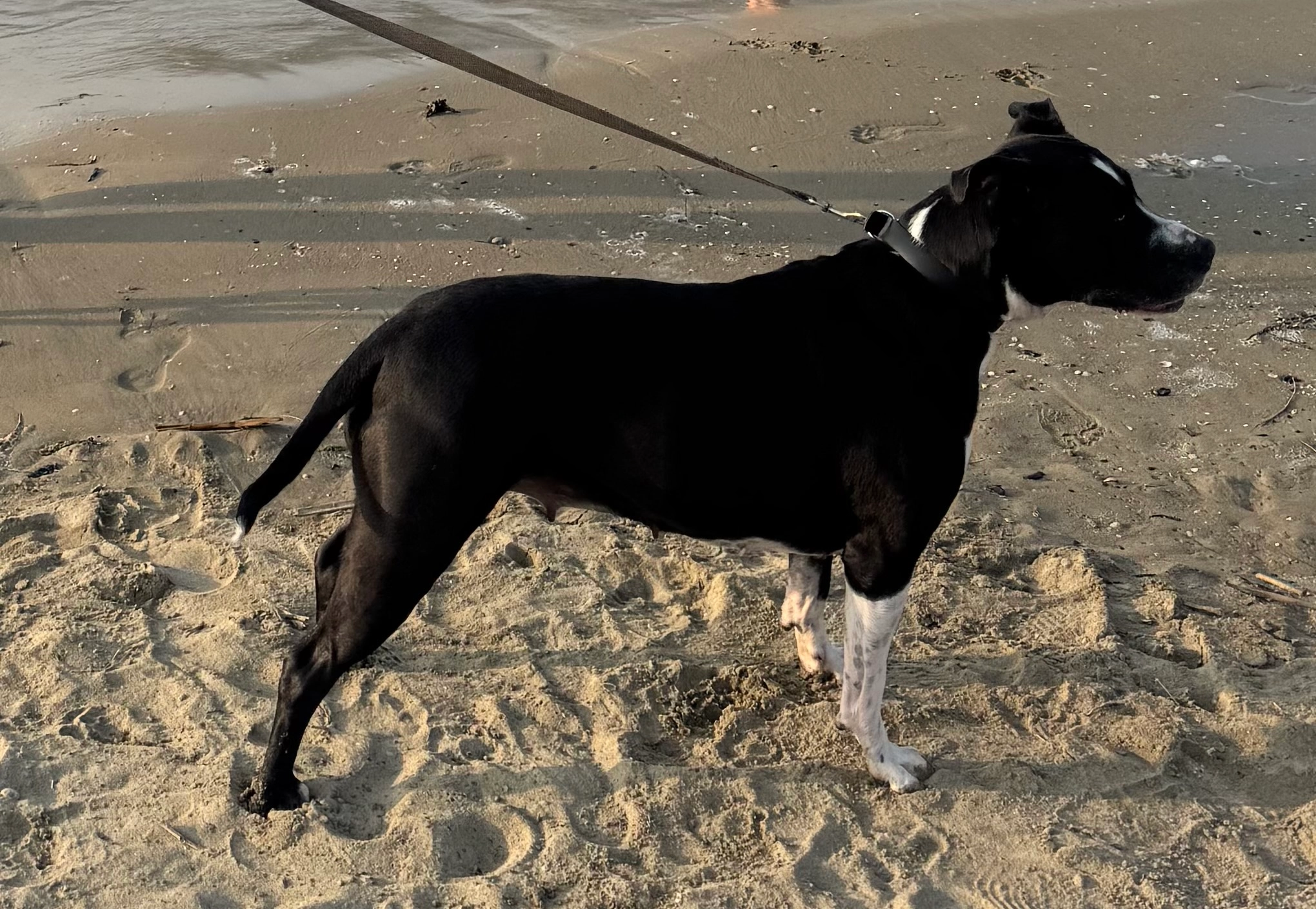 AVA  - Viale 25 Marzo 1831, Rimini