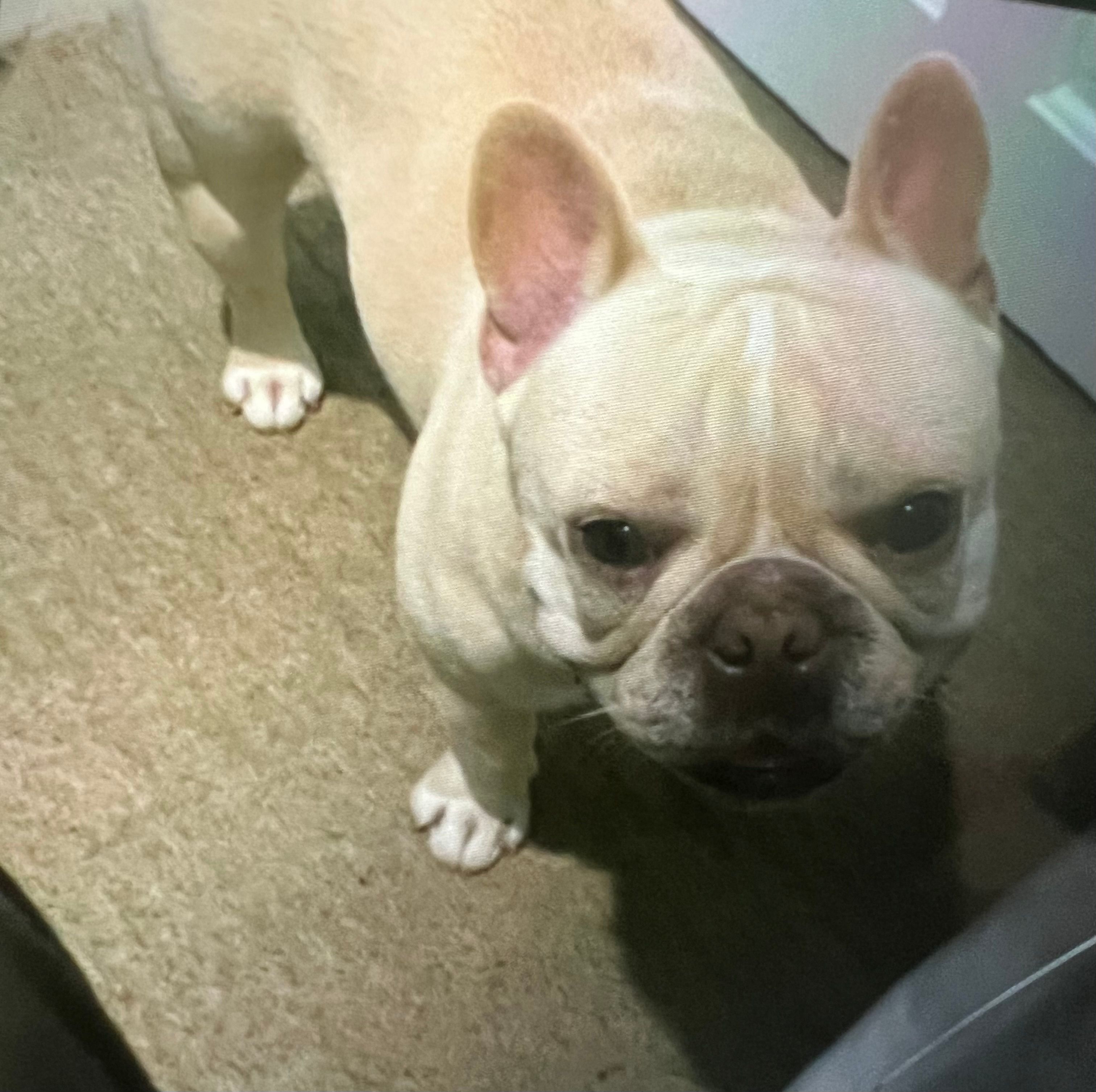 Mailo - Waterloo Street, Tipton