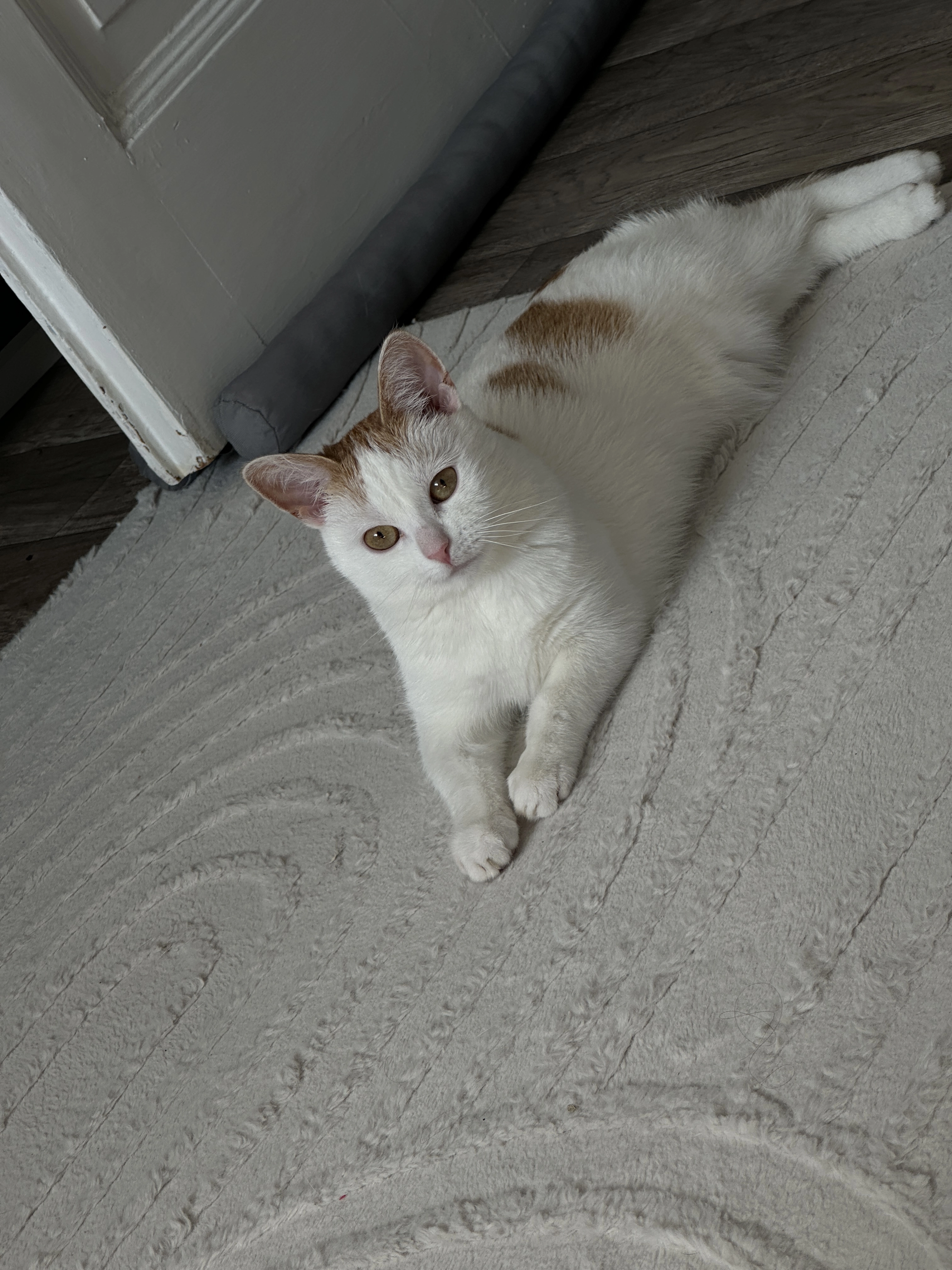 Claire - Donaustraße 10, Moers