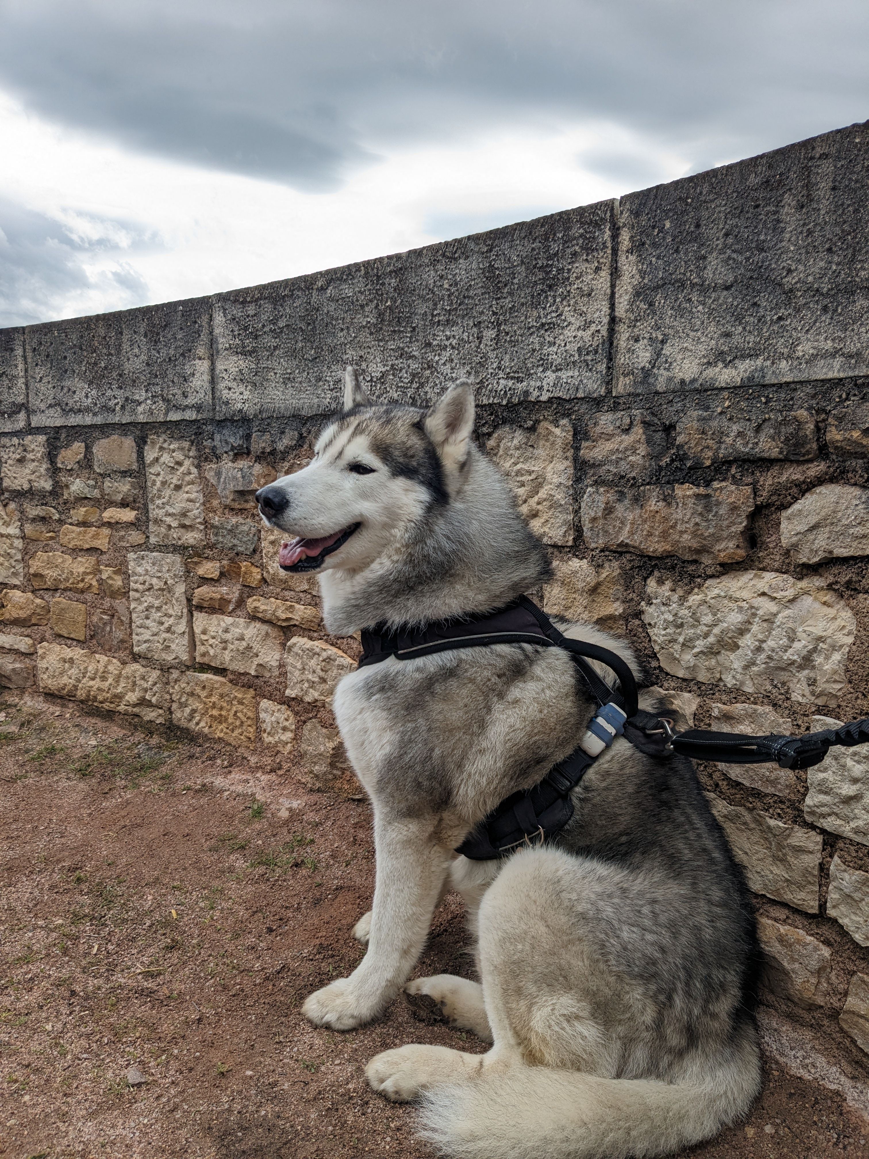 Jasko - 5B Rue de l'École, La Bosse-de-Bretagne