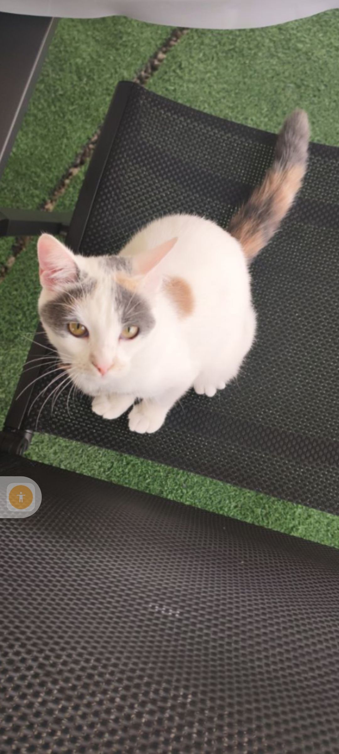 Billy - Rue de Corrèze, Malemort