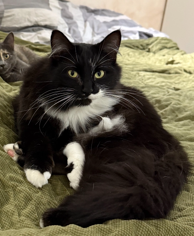 Crispy - Chemin du Puits Morand, Arpajon