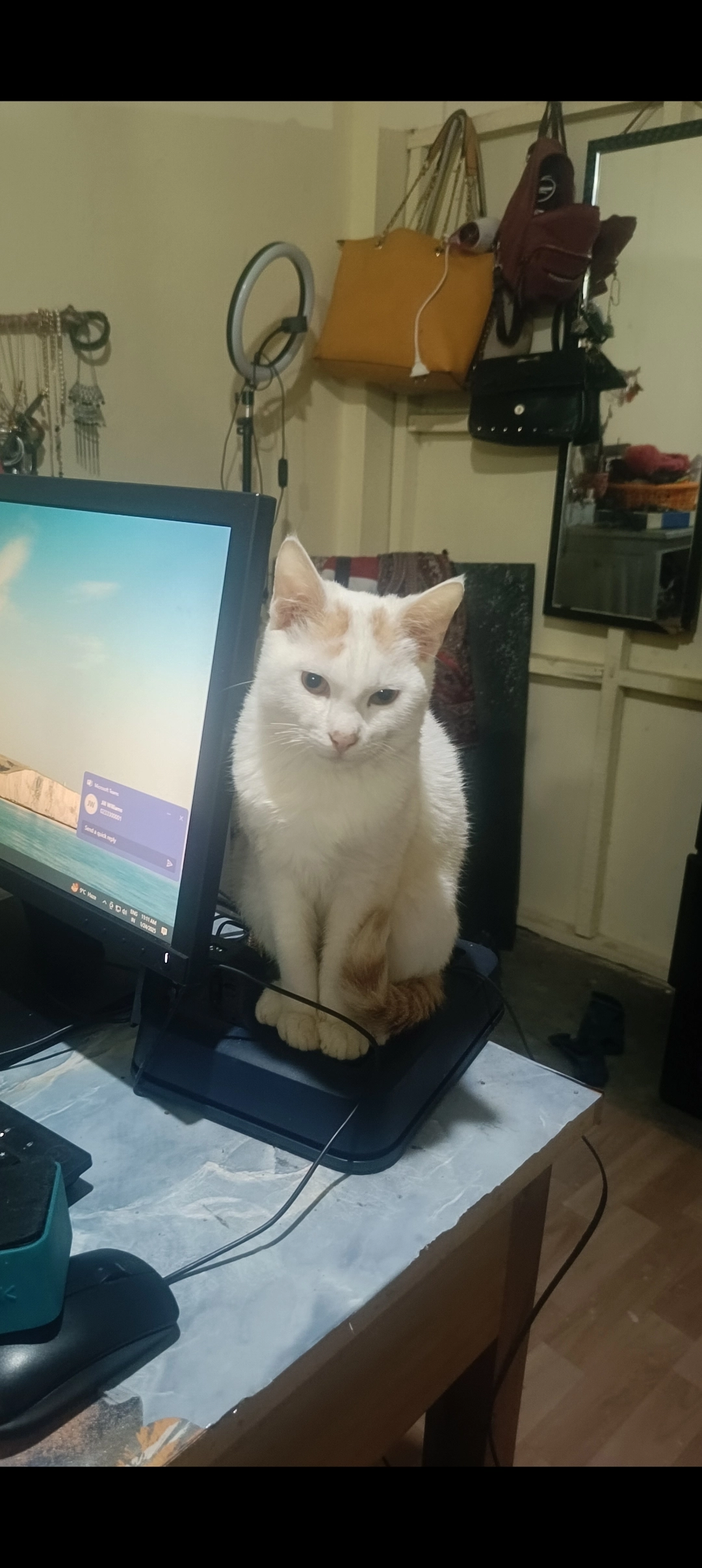 Pitili - Nh6, Shillong