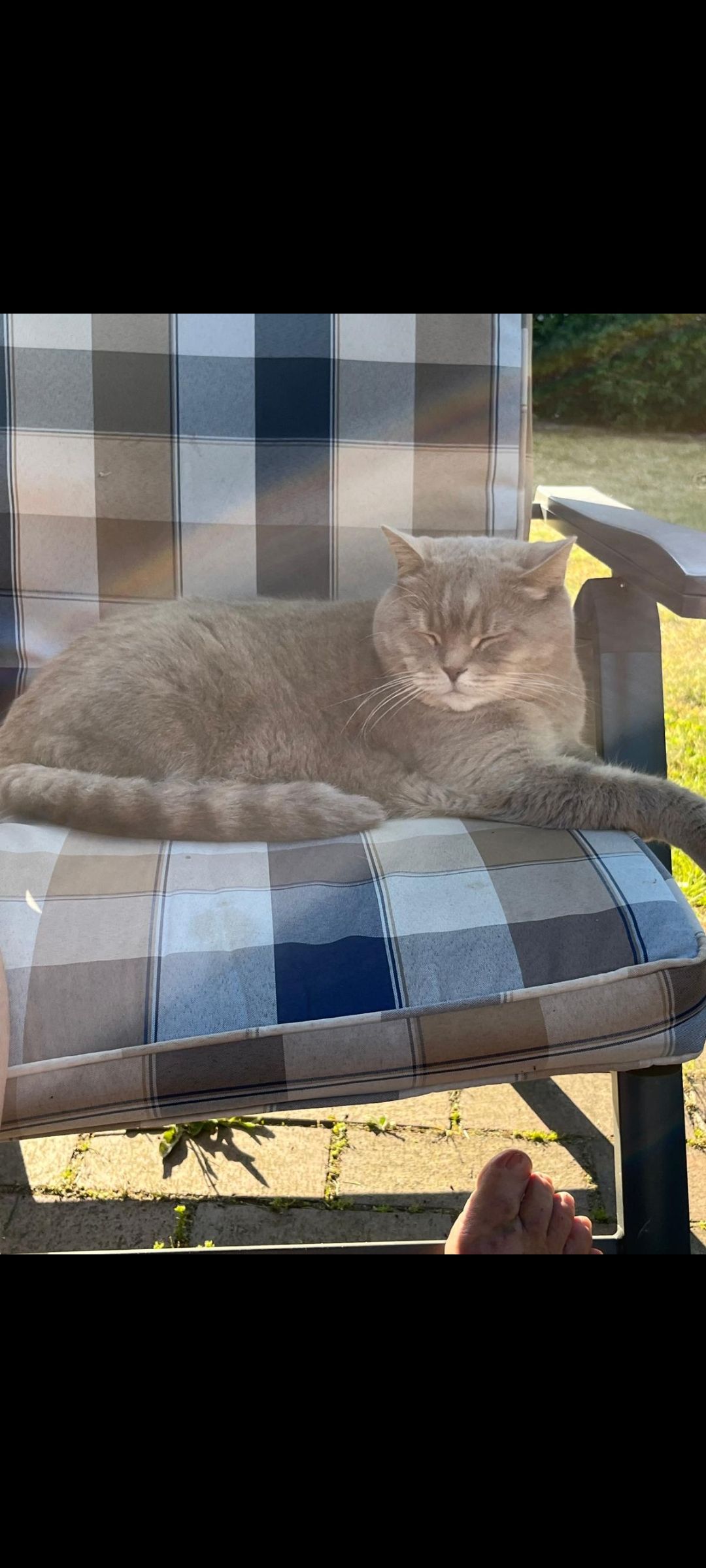 Smilla - Barnimstraße, Stralsund