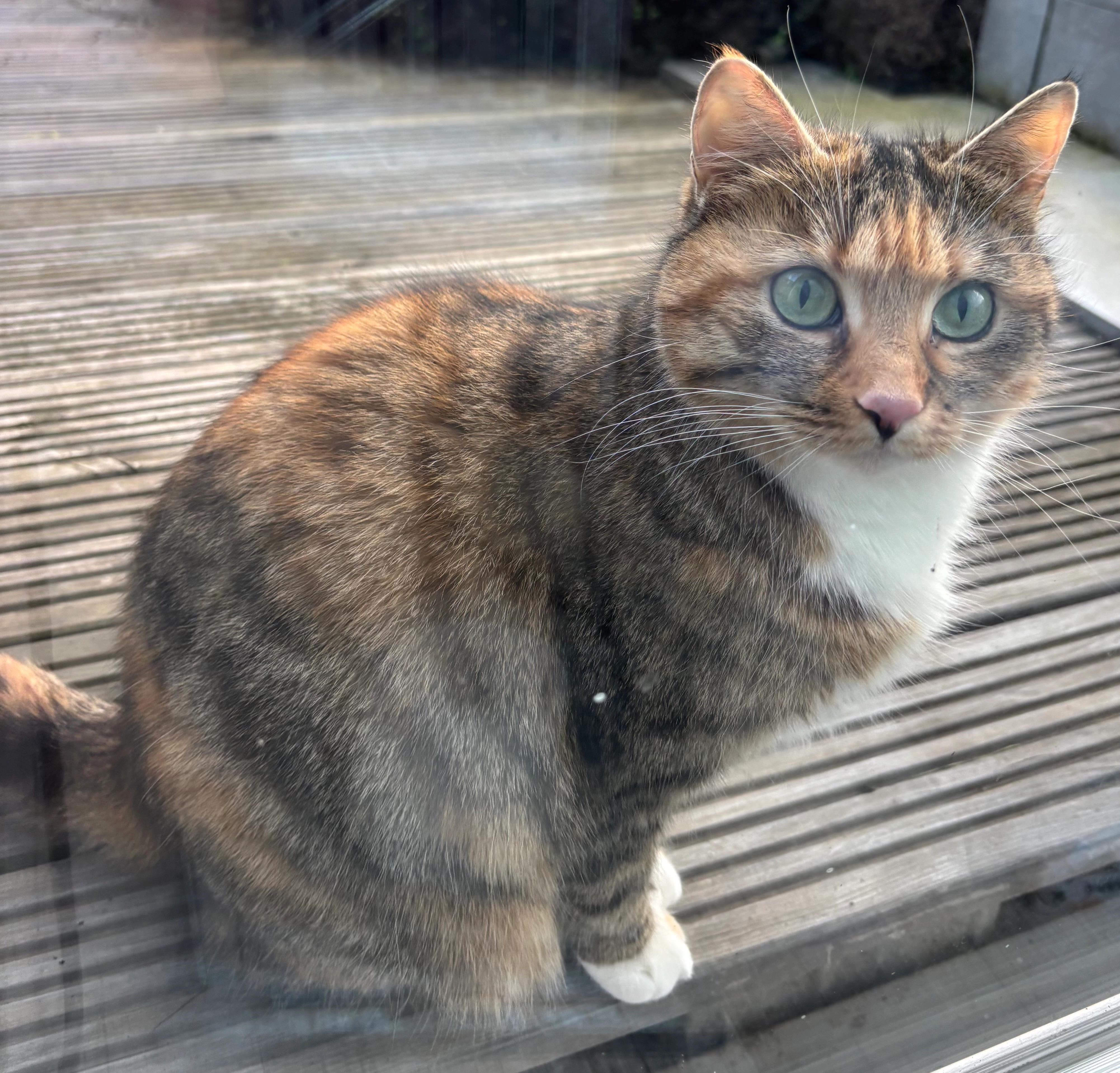 Mia - Oleanderstraße, Neuss