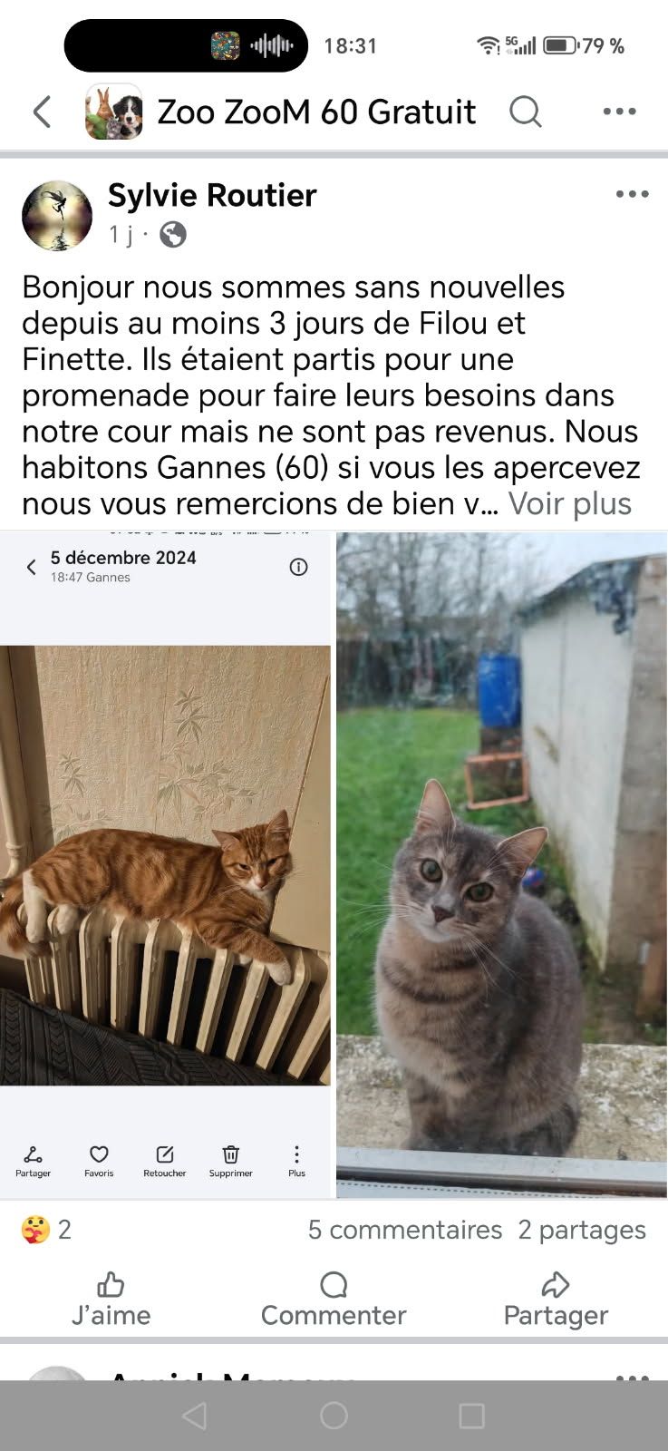 Filou - Rue d'Ansauvillers, Gannes