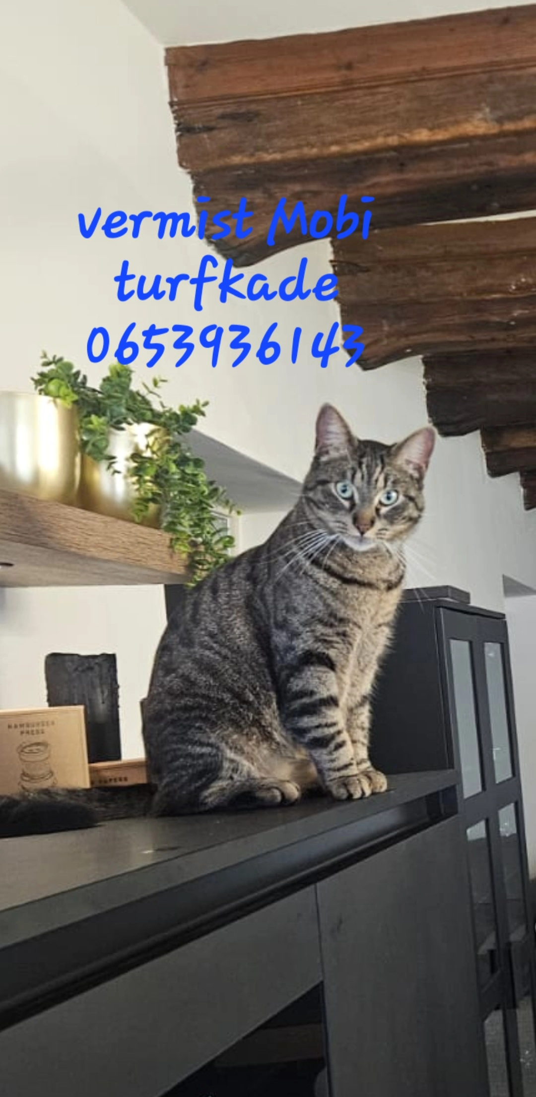 Mobi - Turfkade, Brielle