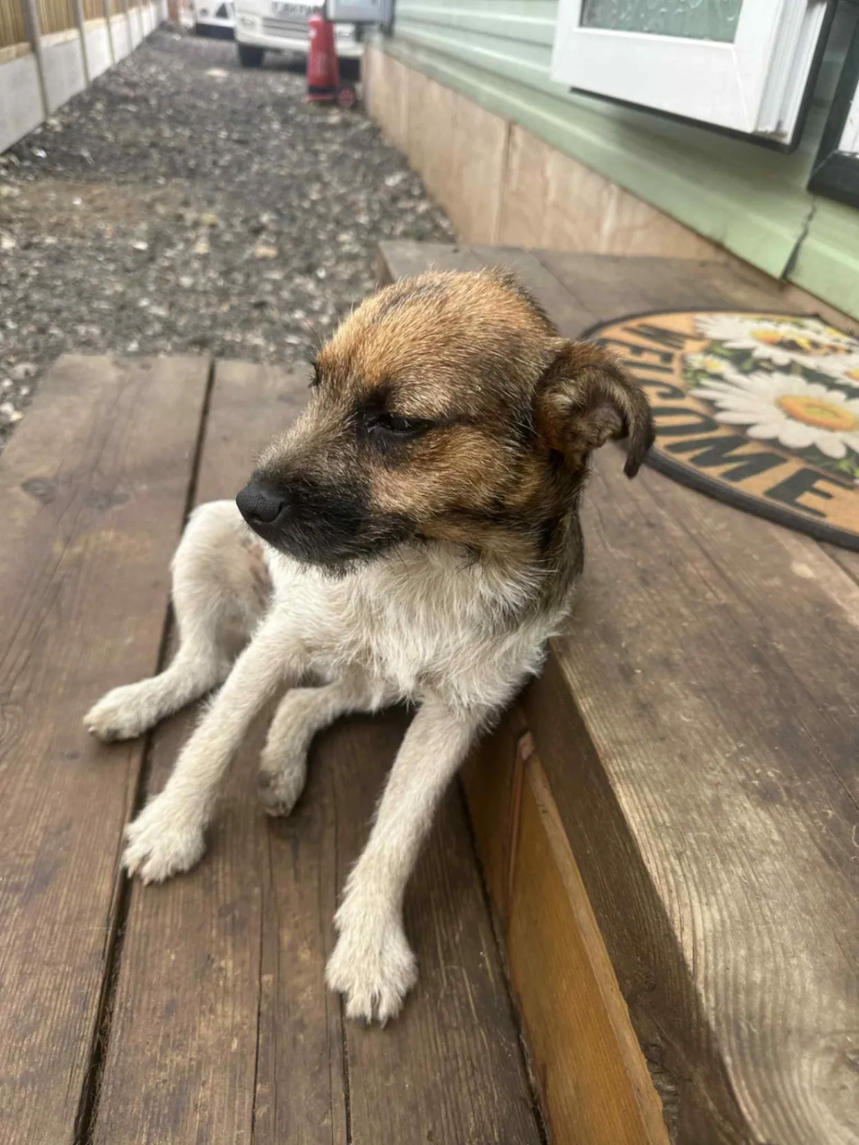 Riko - TW19 5, Staines-upon-Thames