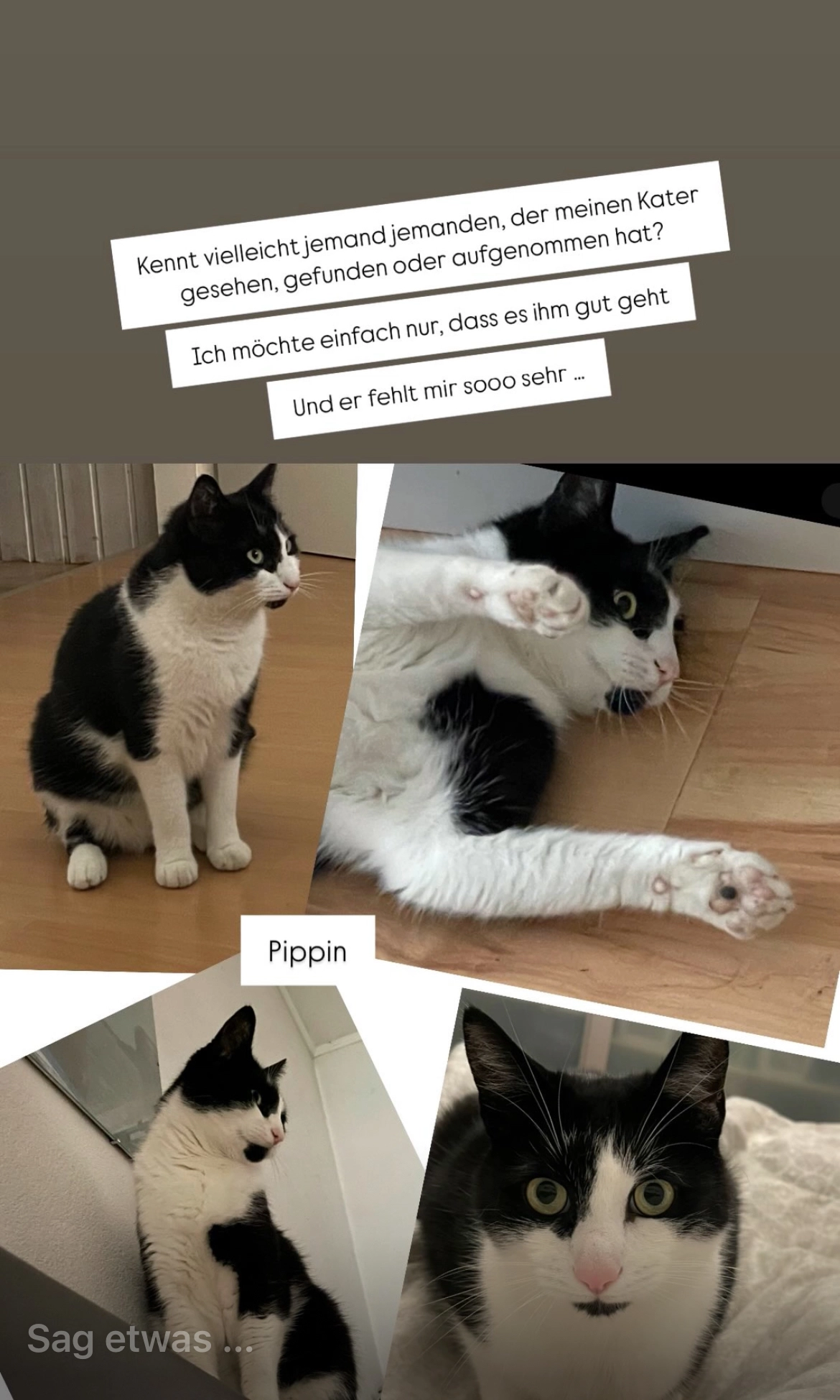 Pippin - Neubaugasse 10, Oslip