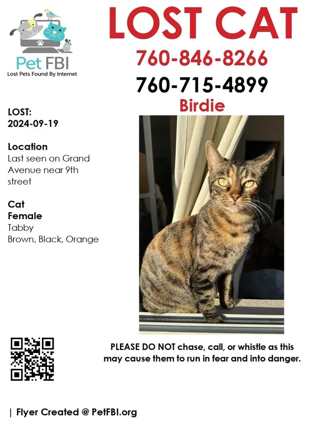 Birdie - Grand Avenue, San Marcos