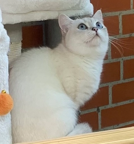 Luna - Friedenstraße, Lünen