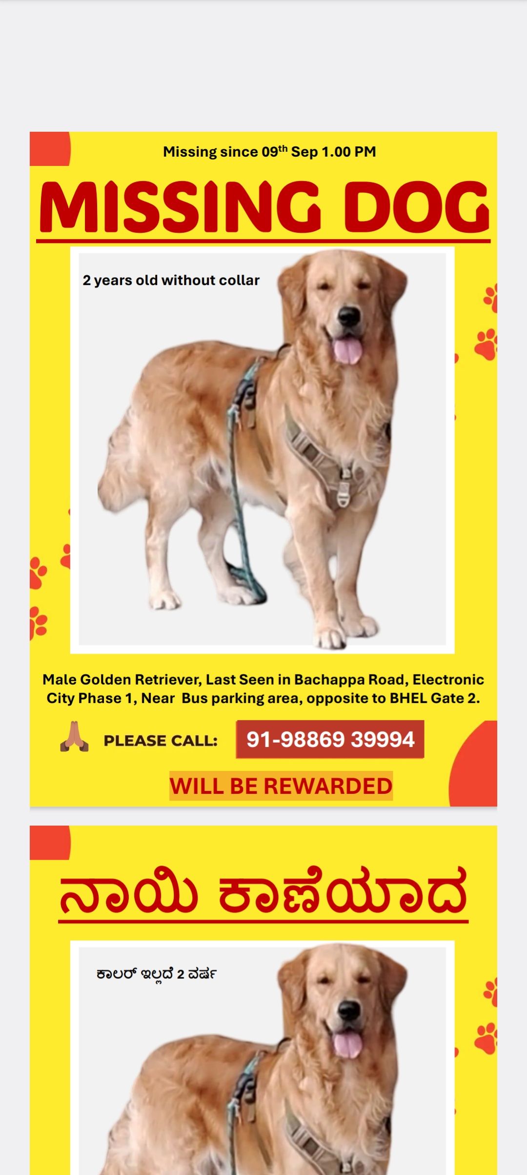 Blue - Doddathoguru Road, Chikka Thogu