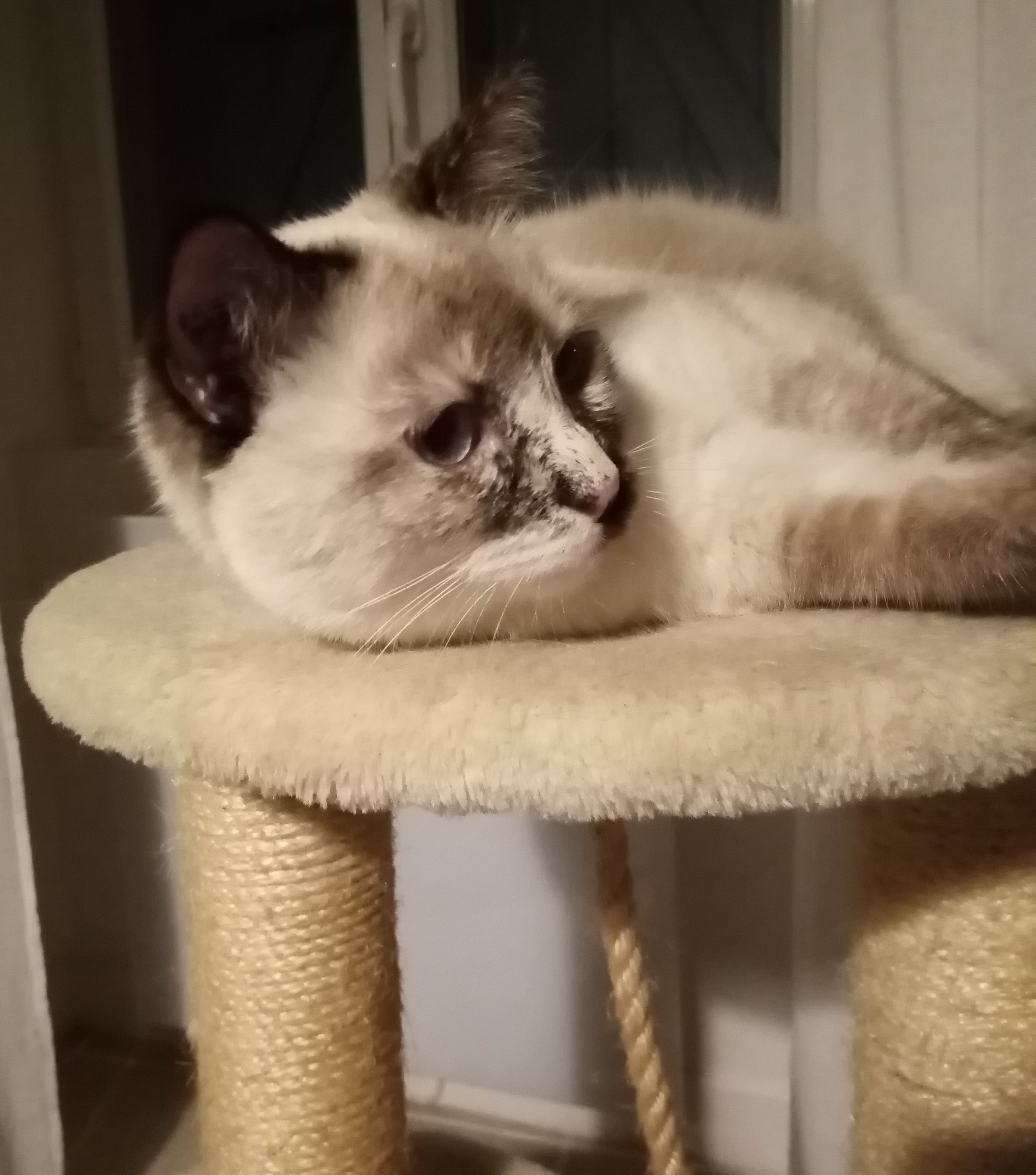 NOA - Rue De La Chaume, Châteauneuf-sur-Cher