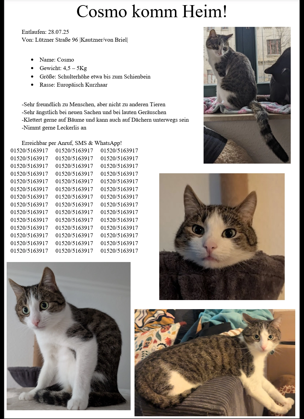 Cosmo - Lützner Straße, Leipzig