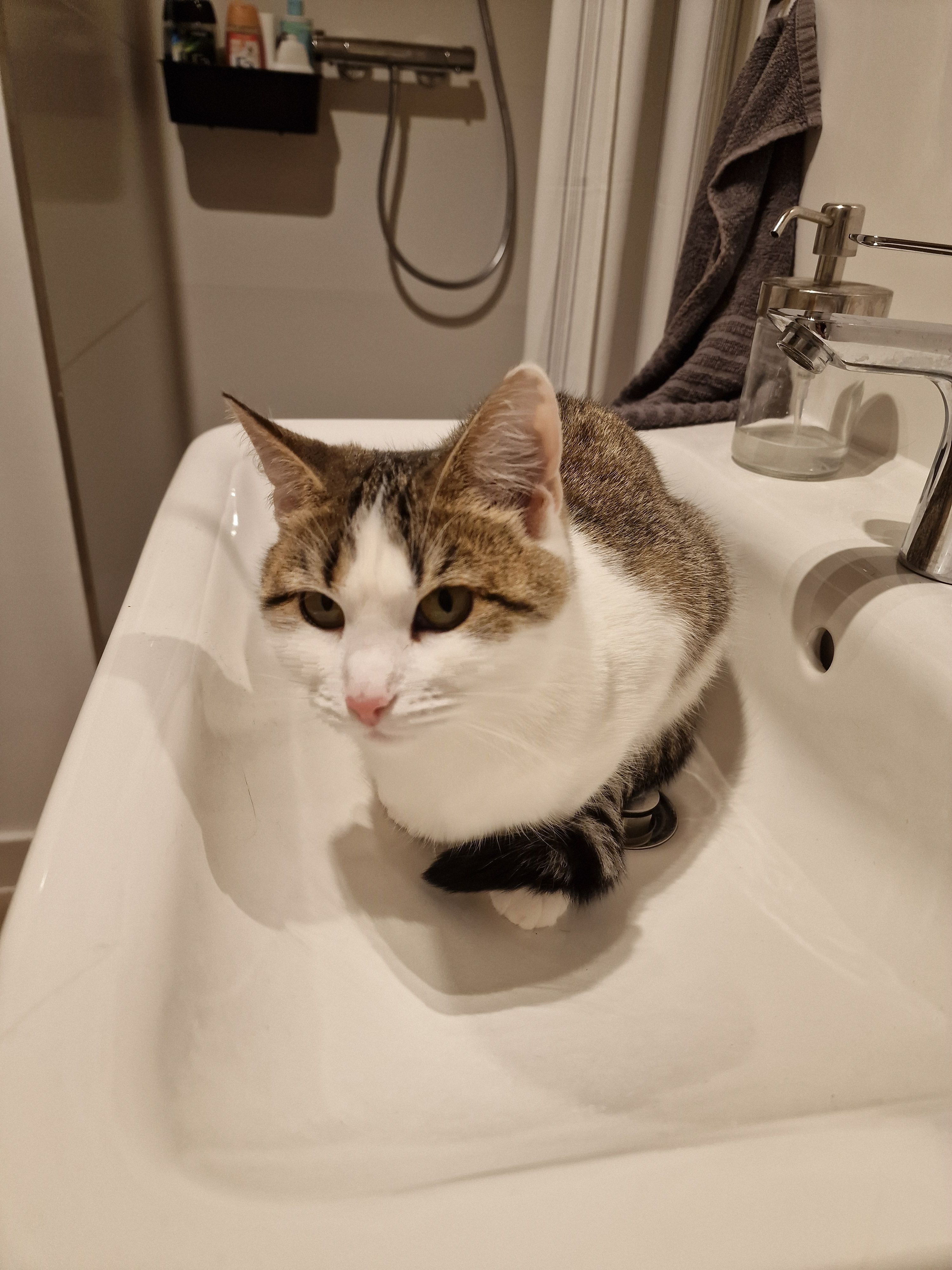 Milky - Ziegelweg, Stolpe