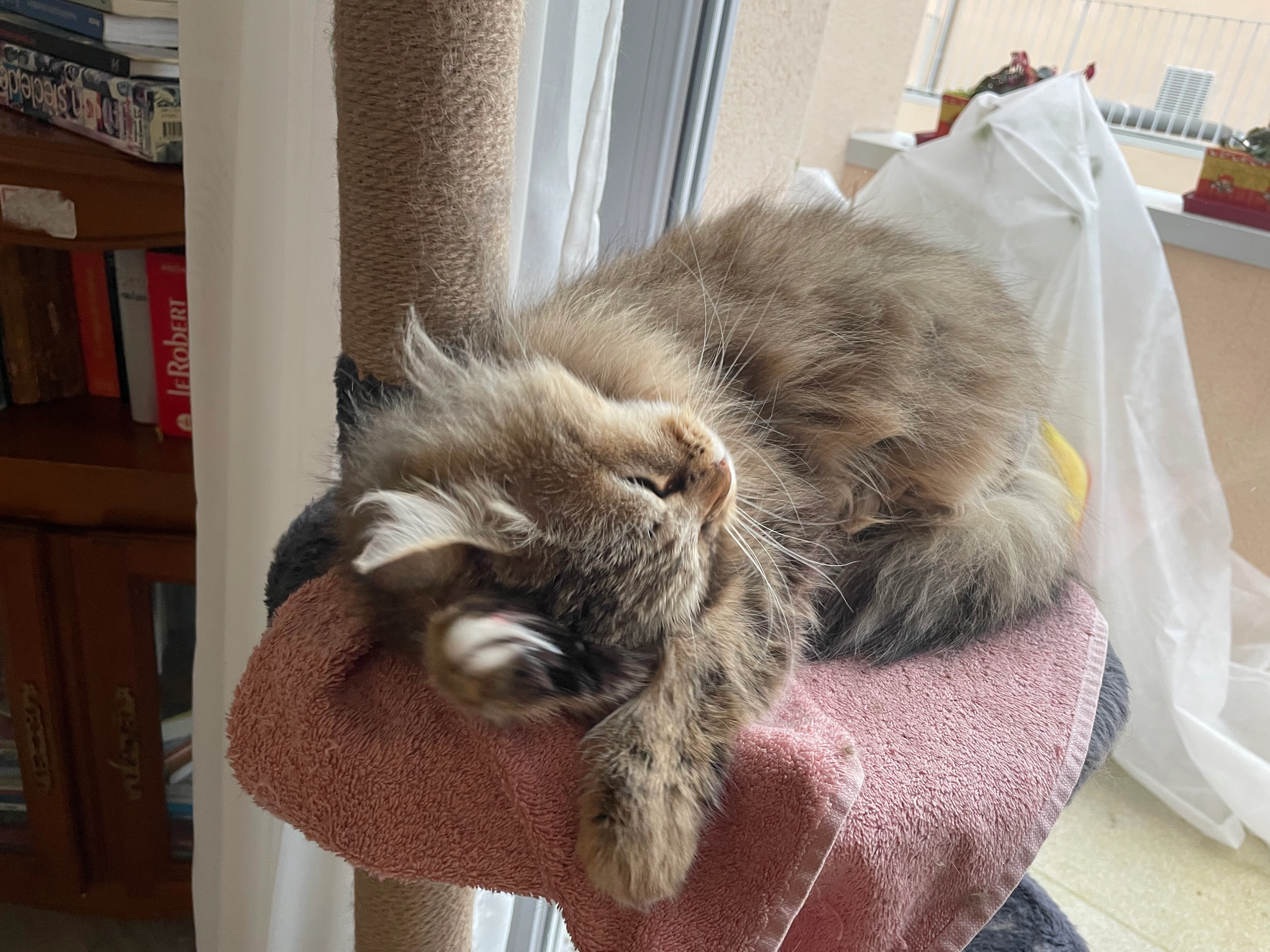 ISA - Rue du Pont Saint-Jean, Bergerac