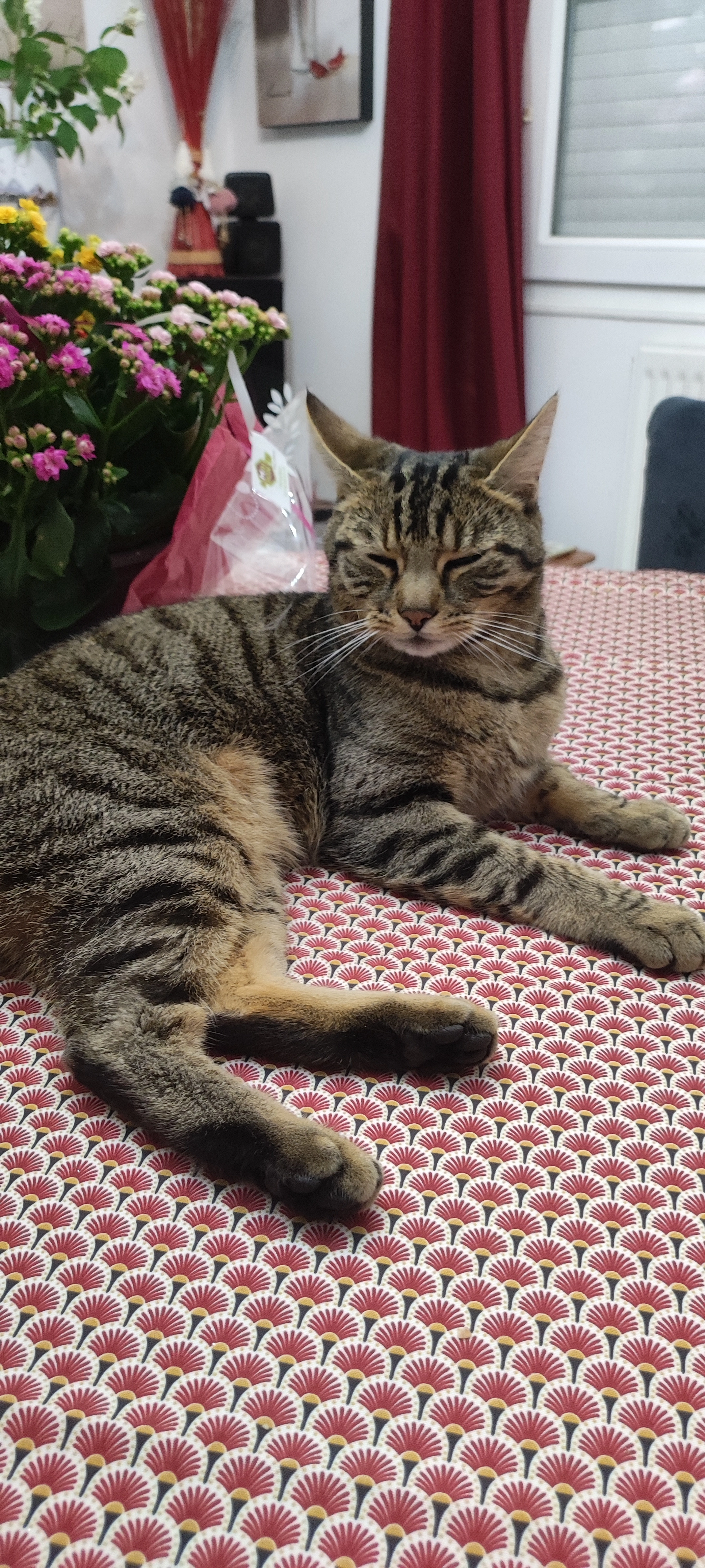 Lancelot  - 94 Rue Curie, Saclay