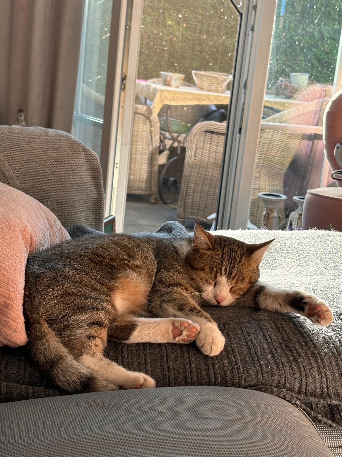 Lulu - Siethener Dorfstraße, Ludwigsfelde