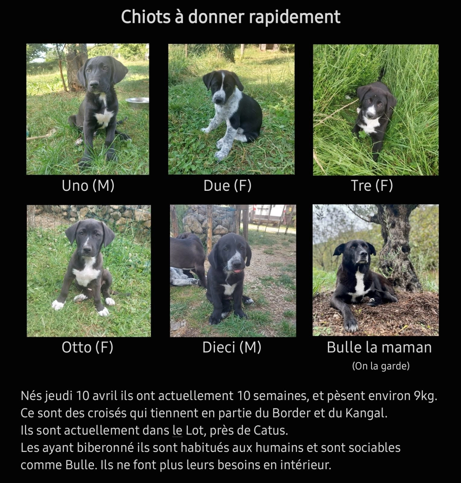 Guts ou Uno - 1 Route de Pierrou, Soturac