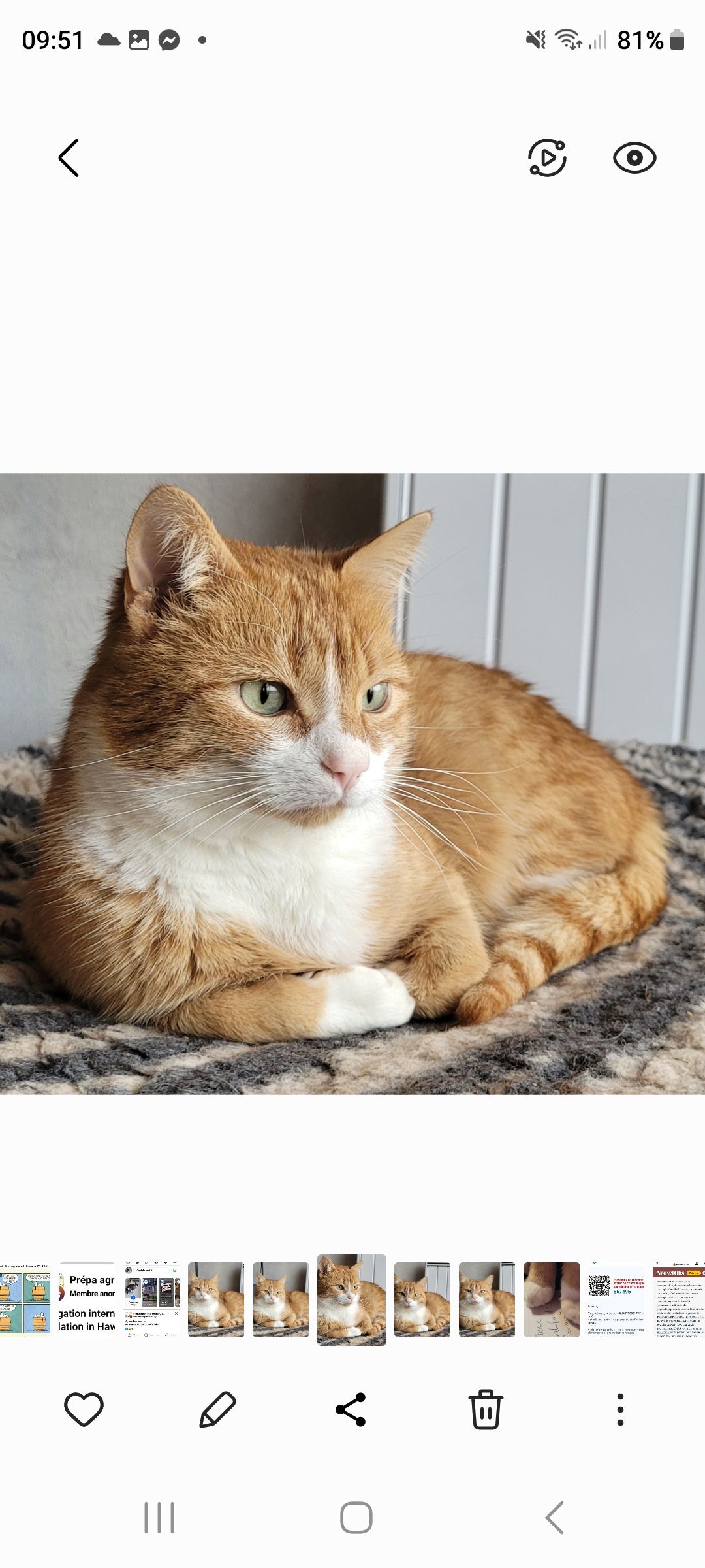 Onyx - Rue Des Courtils, La Limouzinière