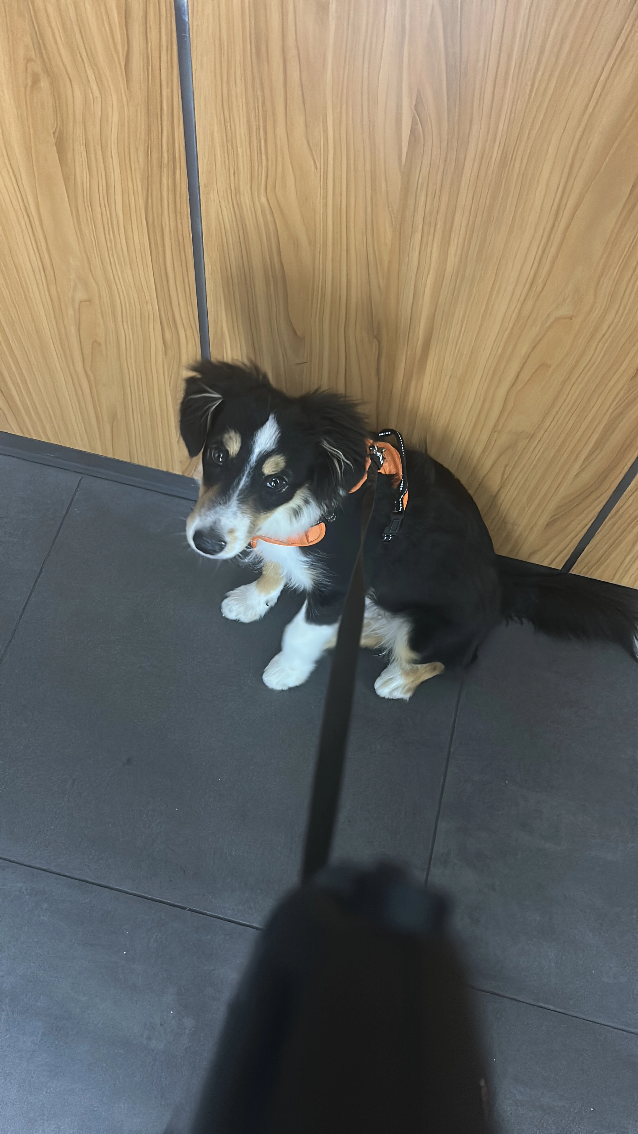 Aiko - 24 Chemin de Bretagne, Issy-les-Moulineaux