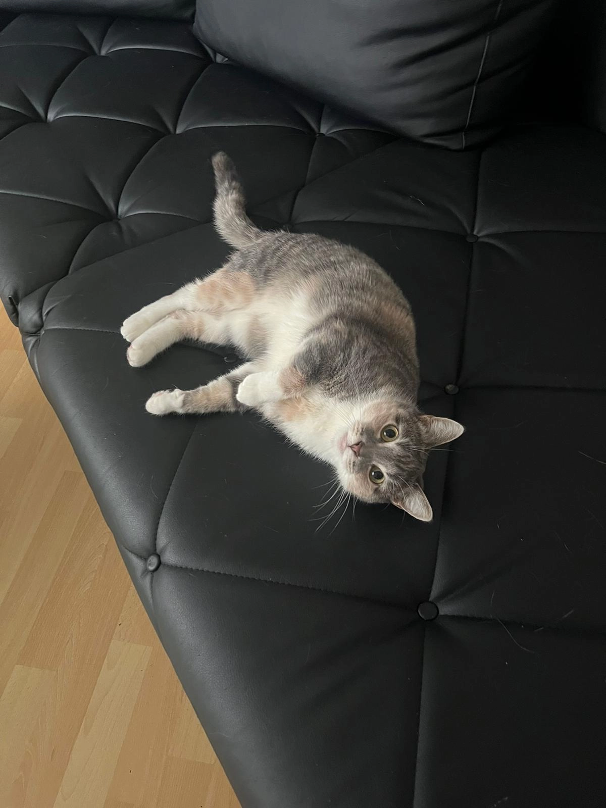 Nana  - Kleibroker Straße, Rastede