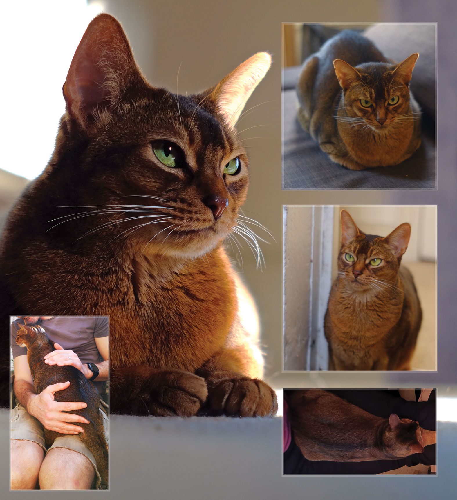 Tika - Via del Balcone, Collevecchio