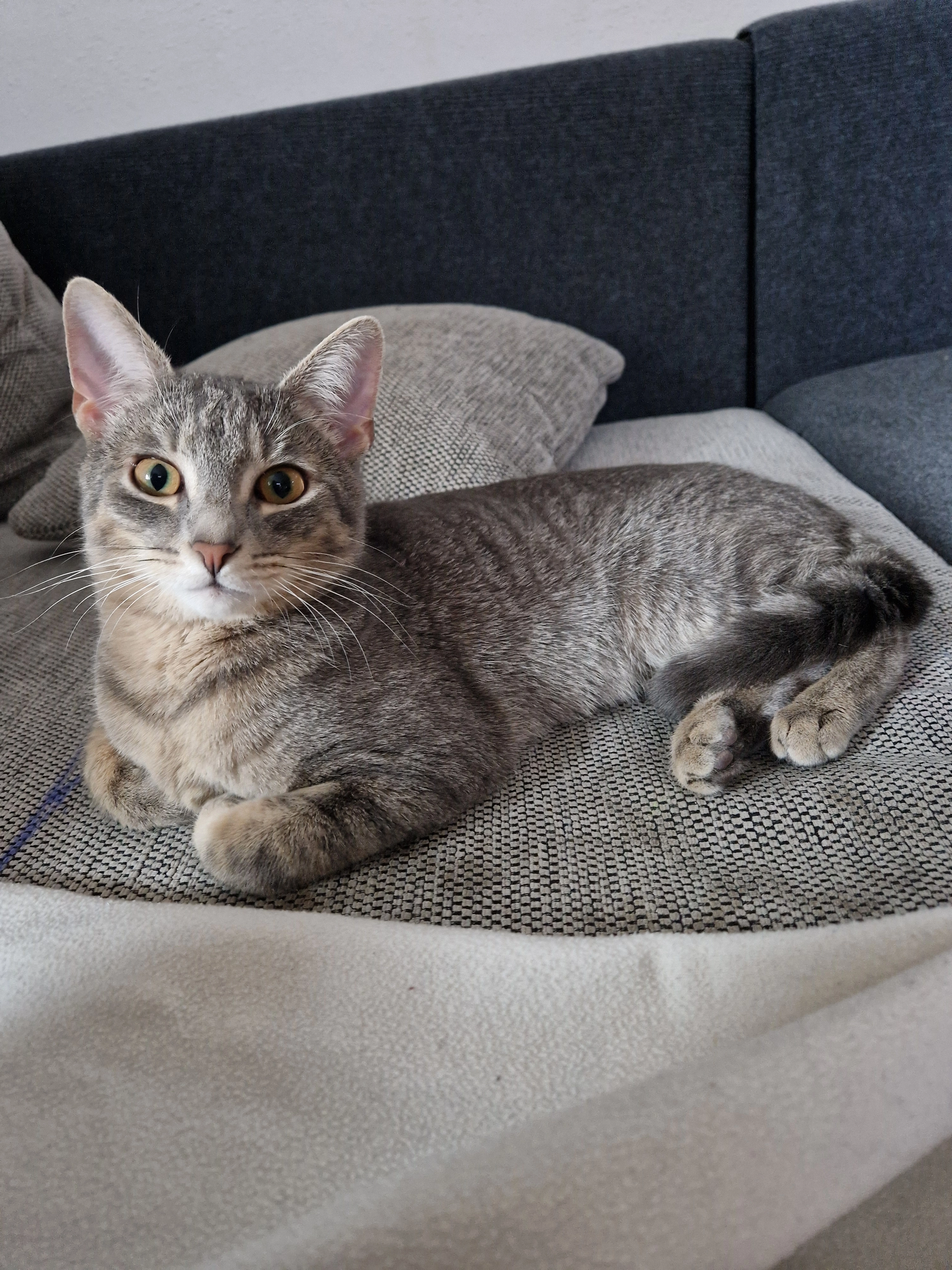 Kaco - Hauptstraße, Seefeld