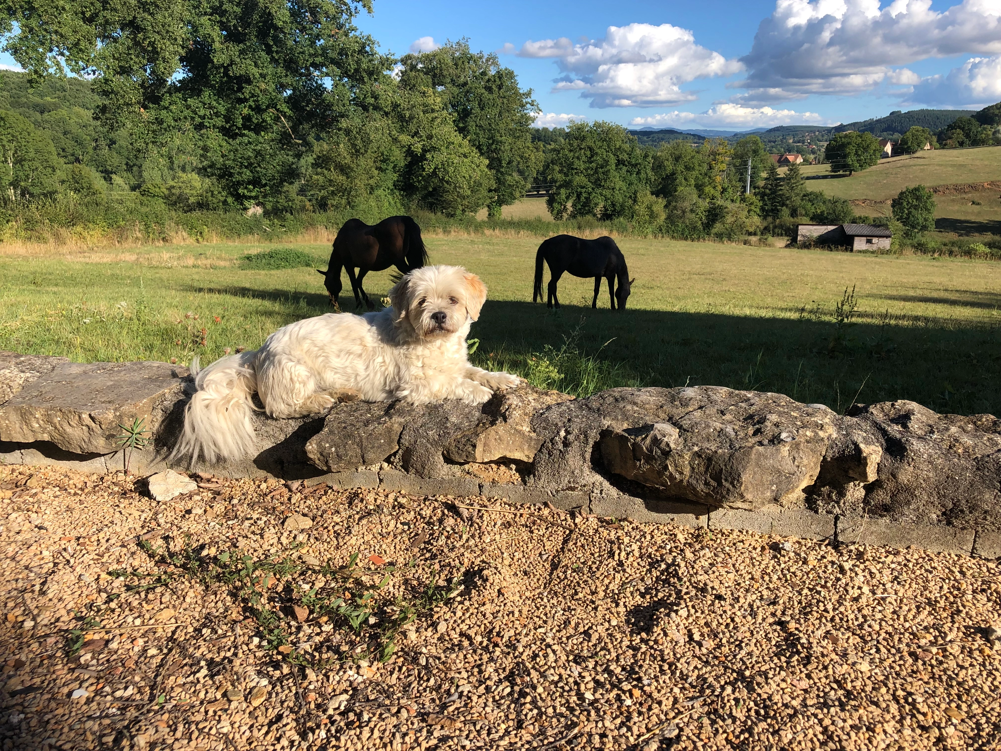 Jantje - Route de Montvallet, Saint-Julien-de-Civry