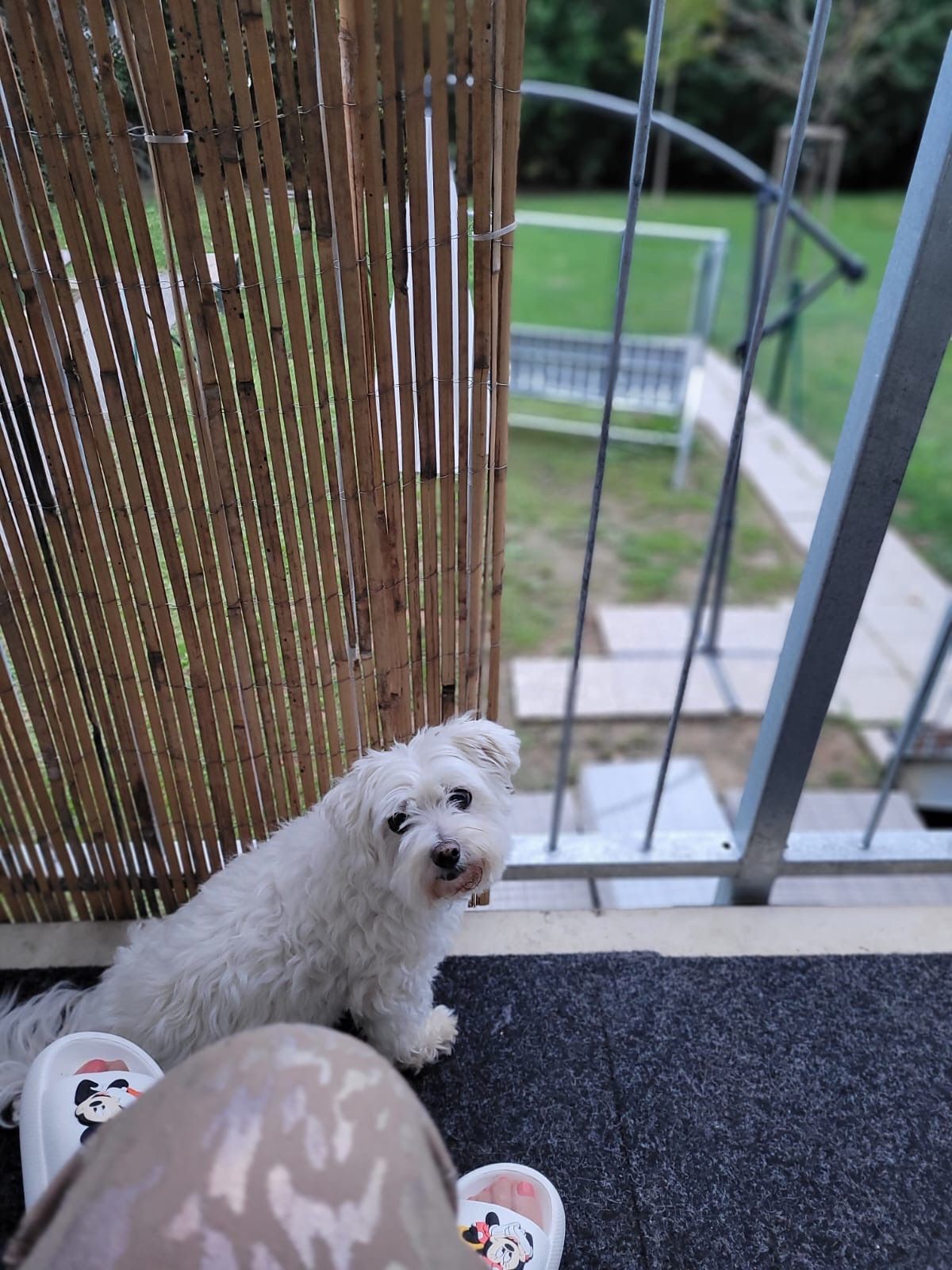 rysa - Baiernstraße, Graz