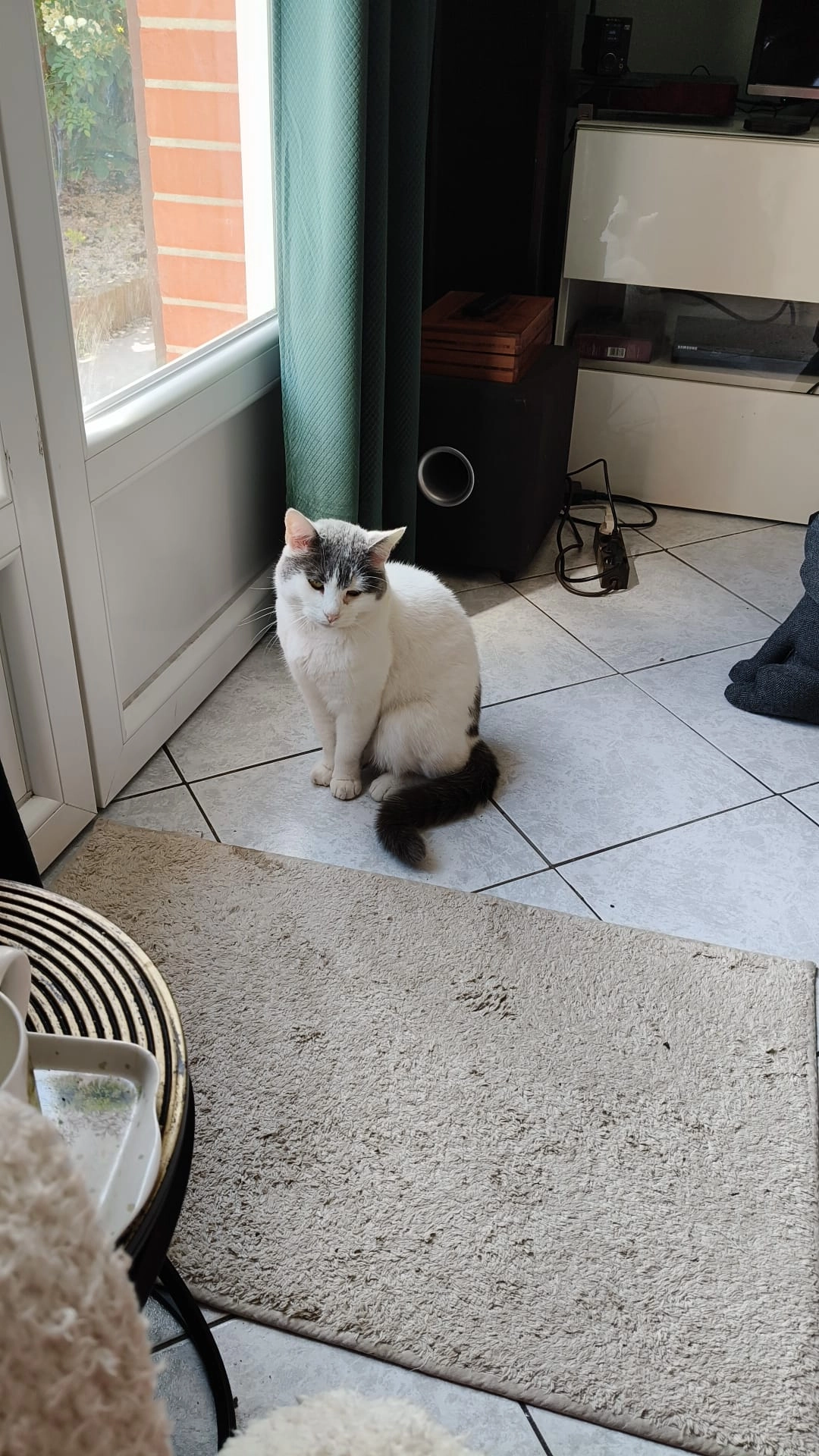 Misty  - Autoroute D'arlon, Holzem