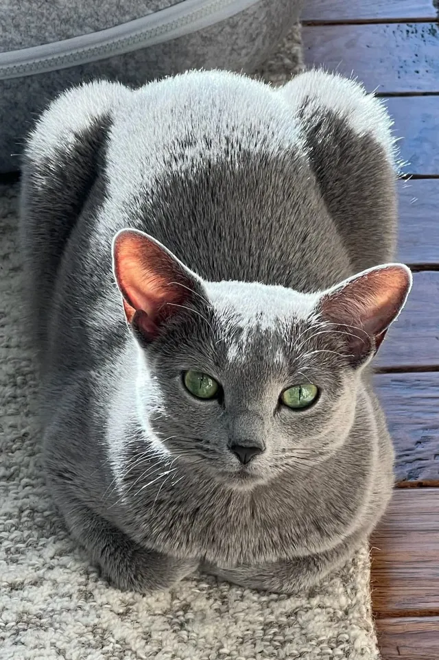 Willow - Michele Ln, Eden Prairie