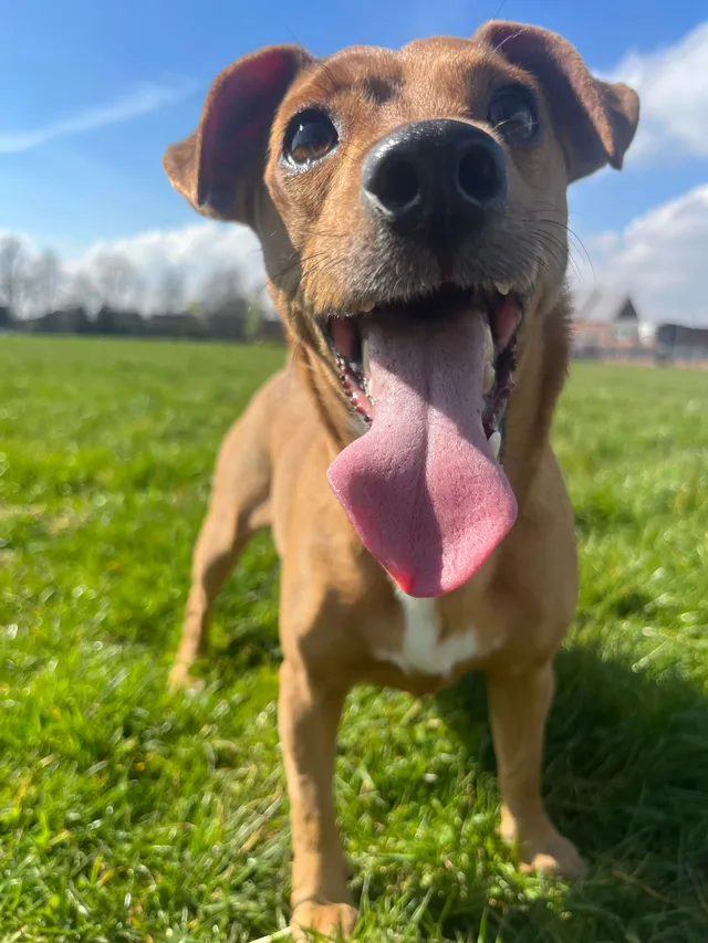 Coco - Coltman Street , Hull