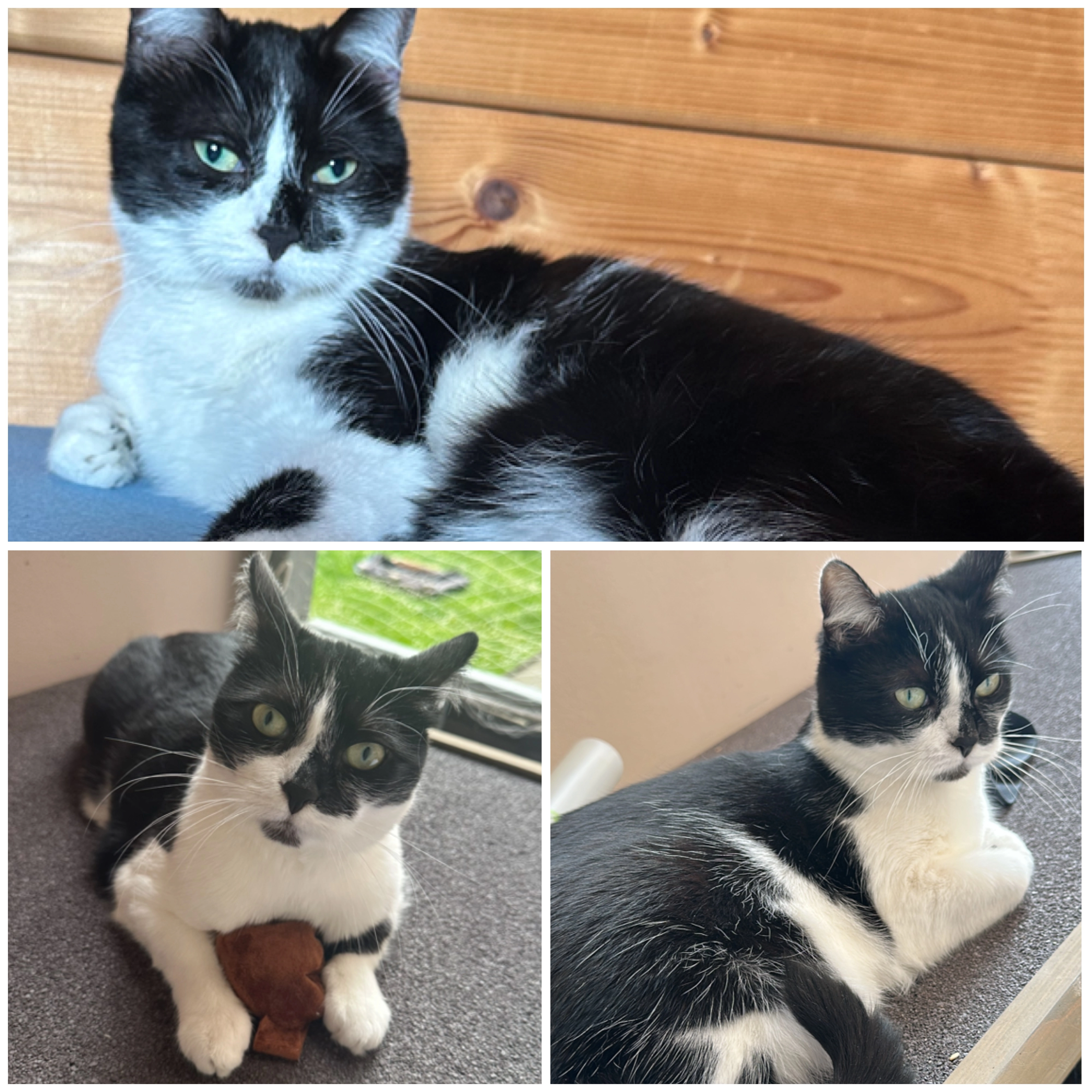 Haily - Seitenstraße 33, Leipzig