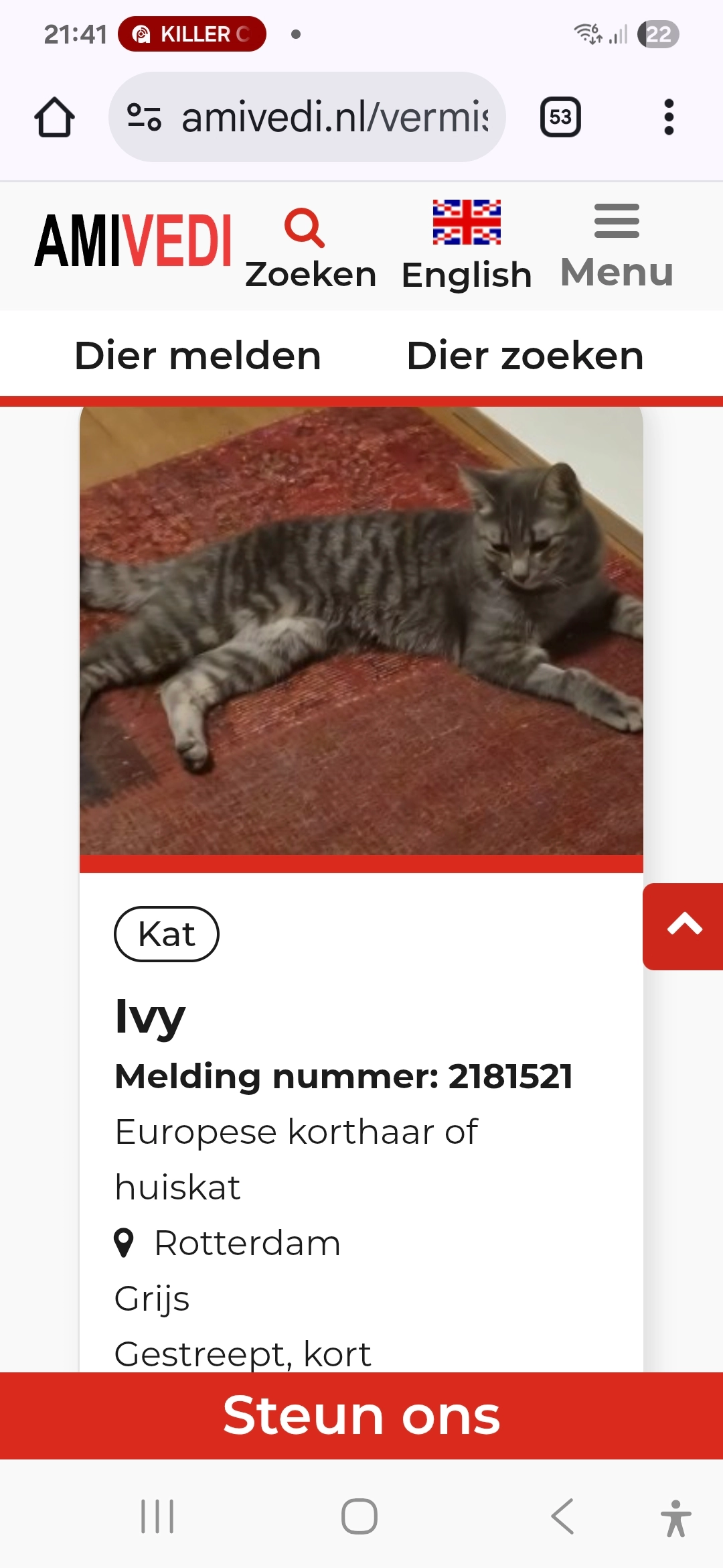 Ivy - Mathenesserdijk, Rotterdam