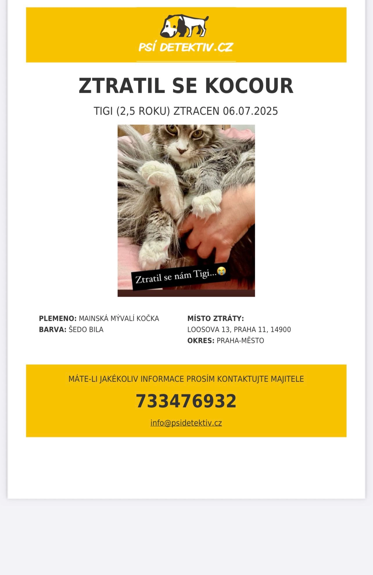 Tigi - Loosova, Prague