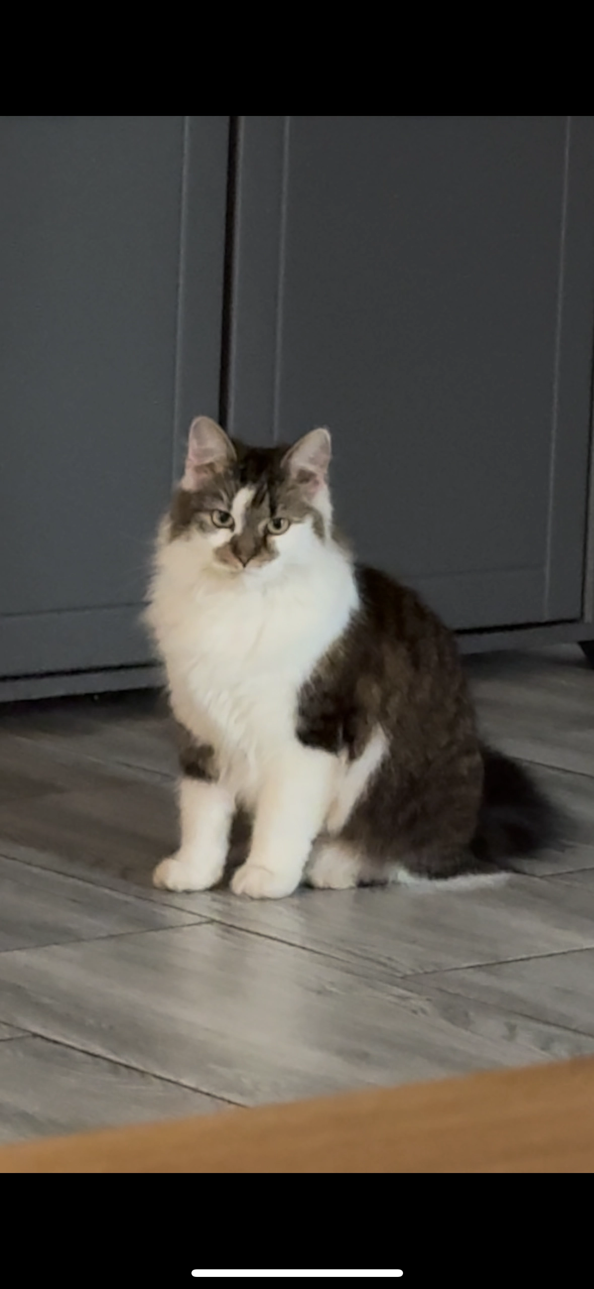 Misty - Strada Mareșal Leonida Pop 42J, Unirea