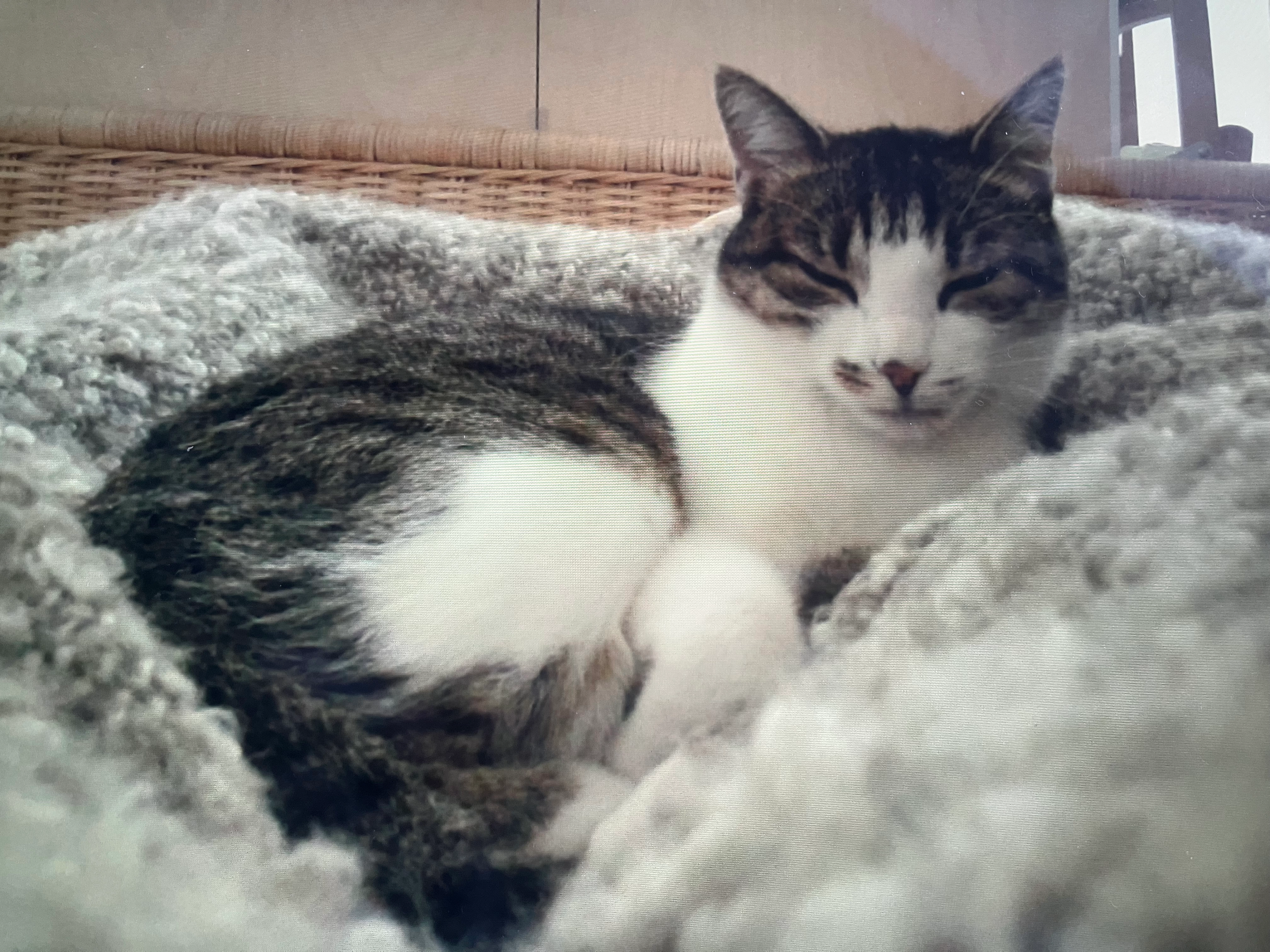 Mira - Hauptstraße, Lautert