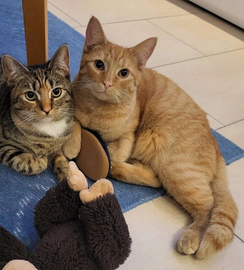 Leo - Godehardstraße, Harsum