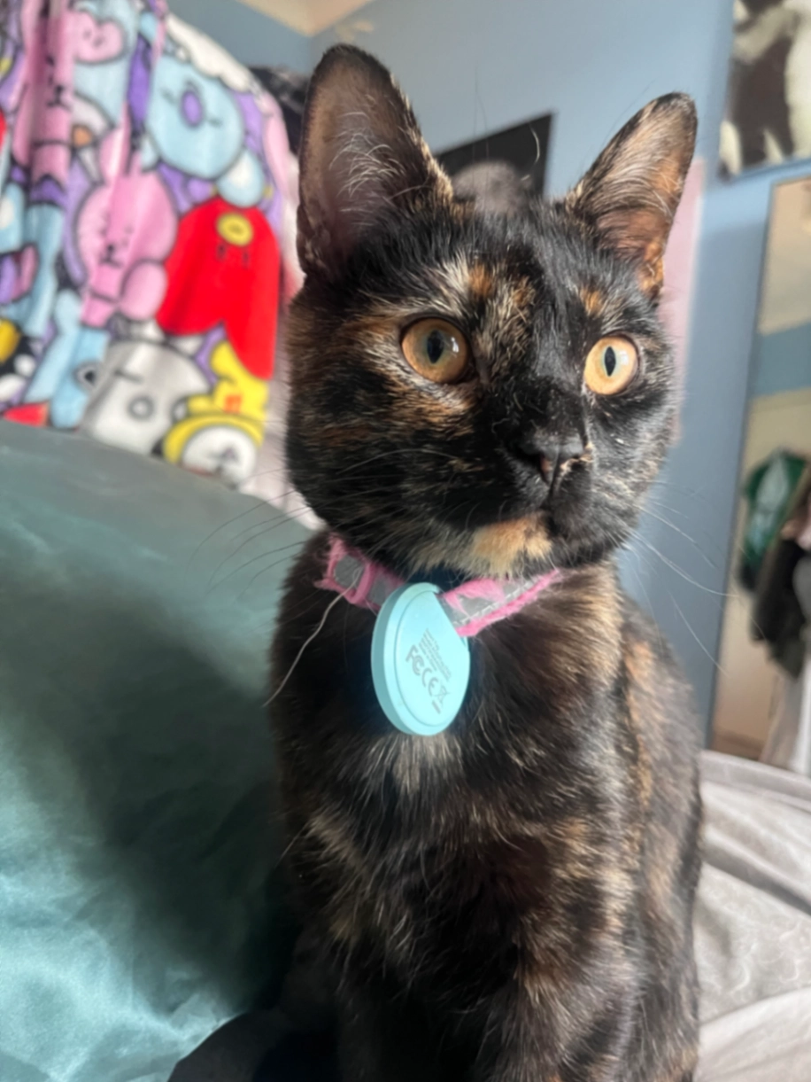 Delia - Manor Road, Aylesbury