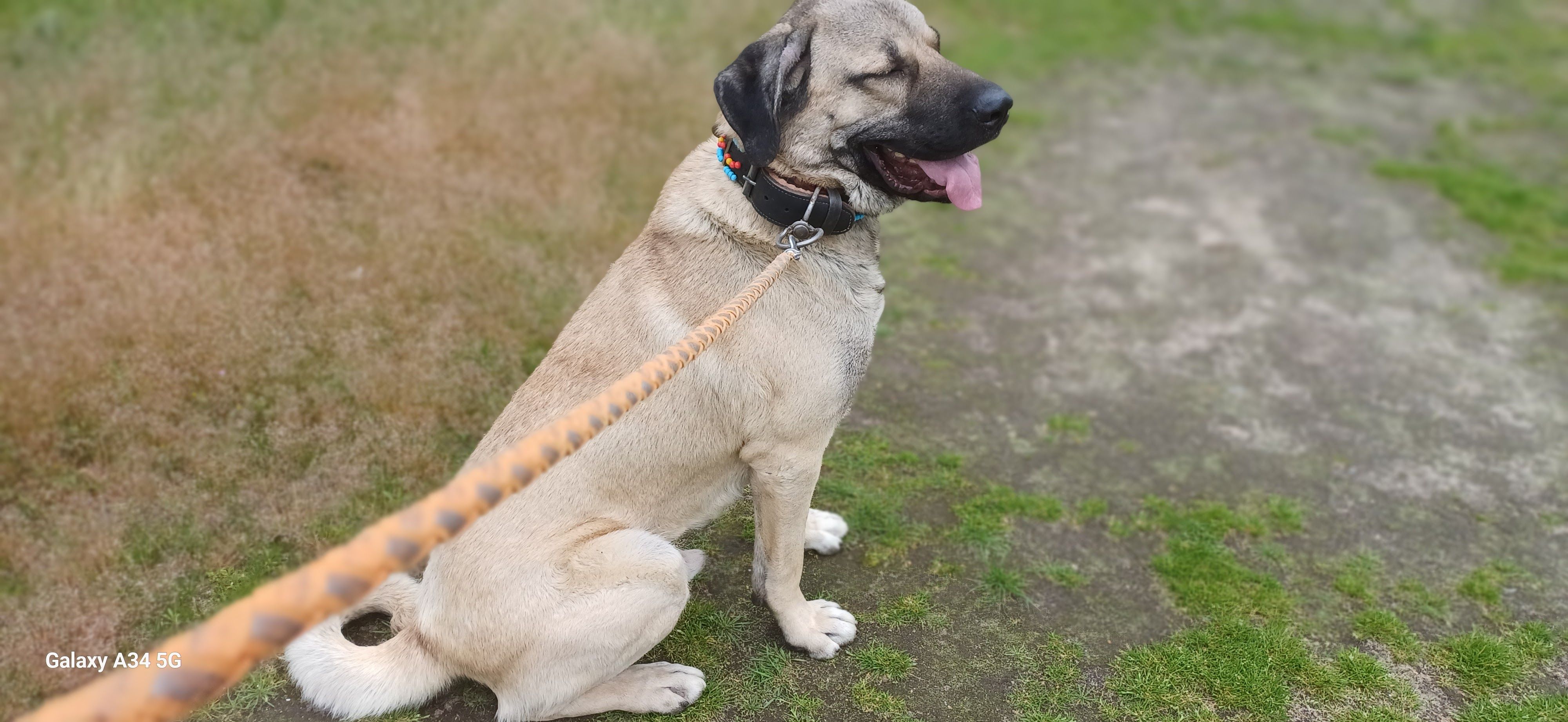 Tonka  - Balmerstraat, Apeldoorn