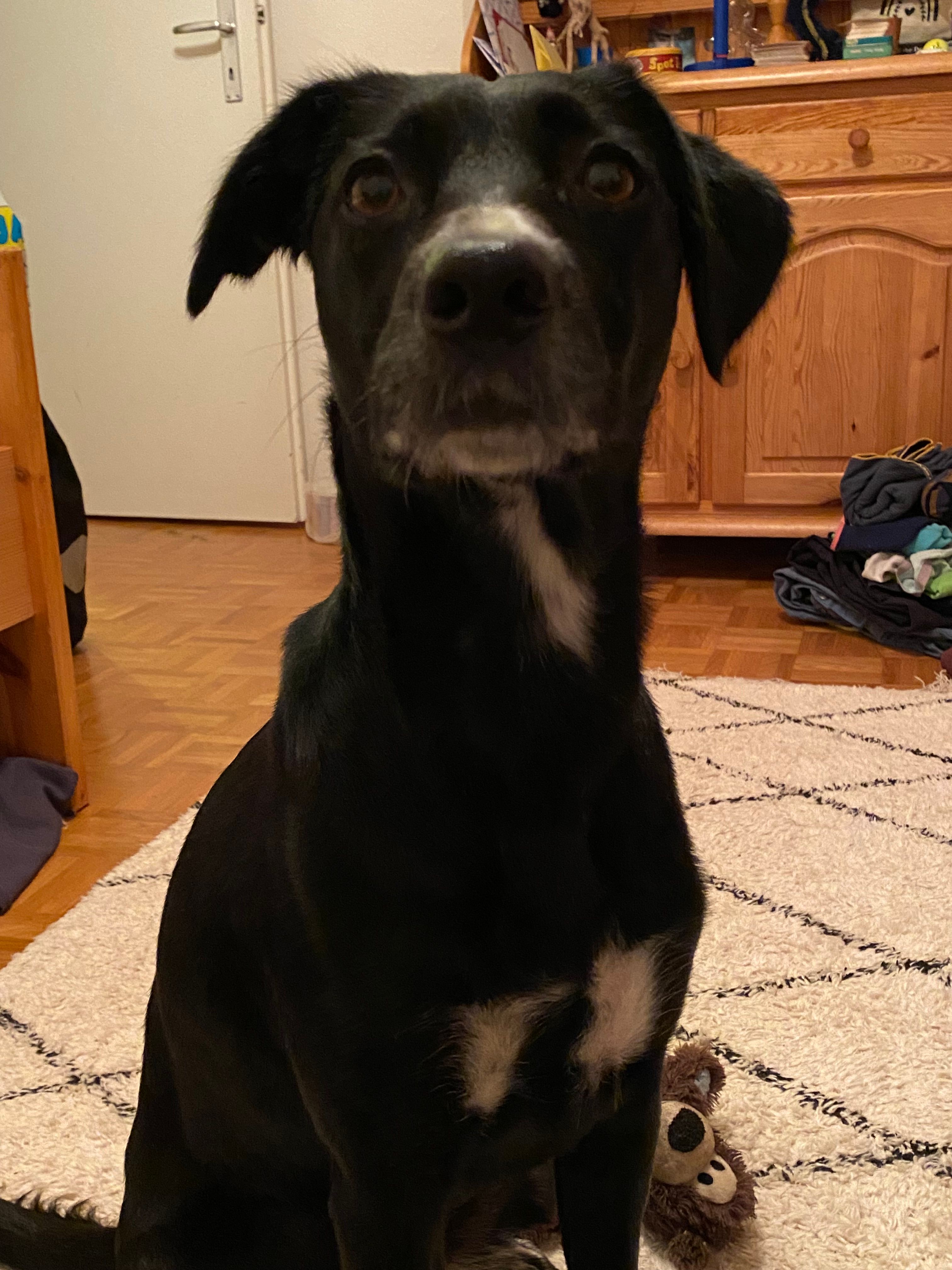 Sintra - Burgstrasse 50, Uster