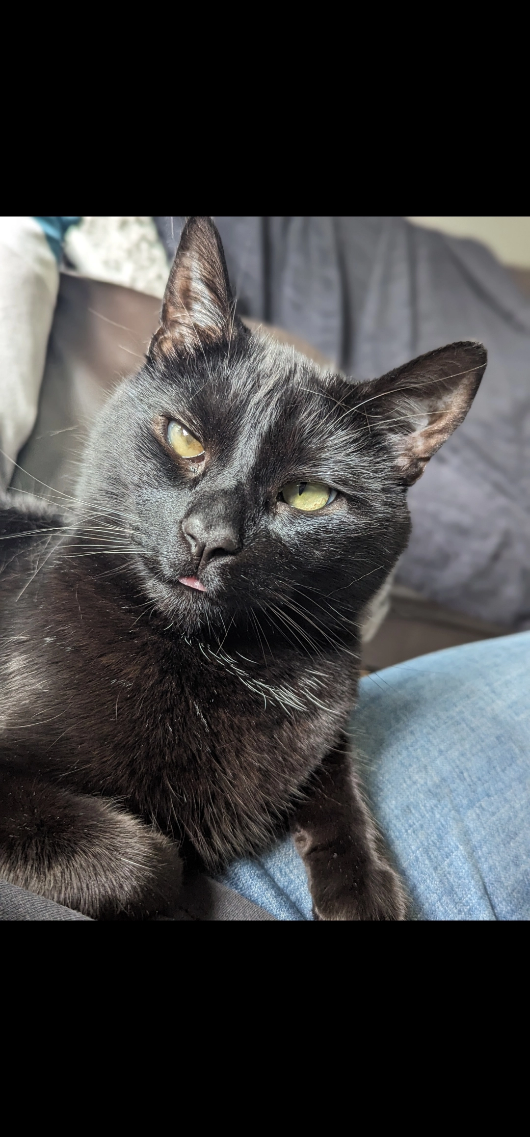 Dave - Fifth Avenue, York