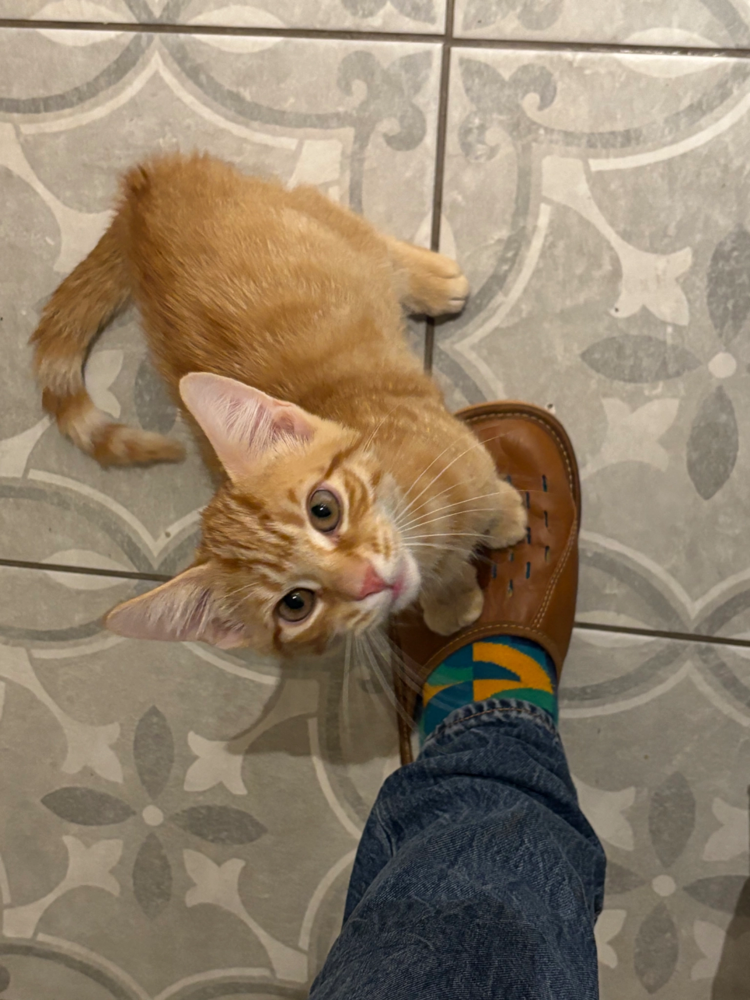 Herby - Derwent Drive, Northampton