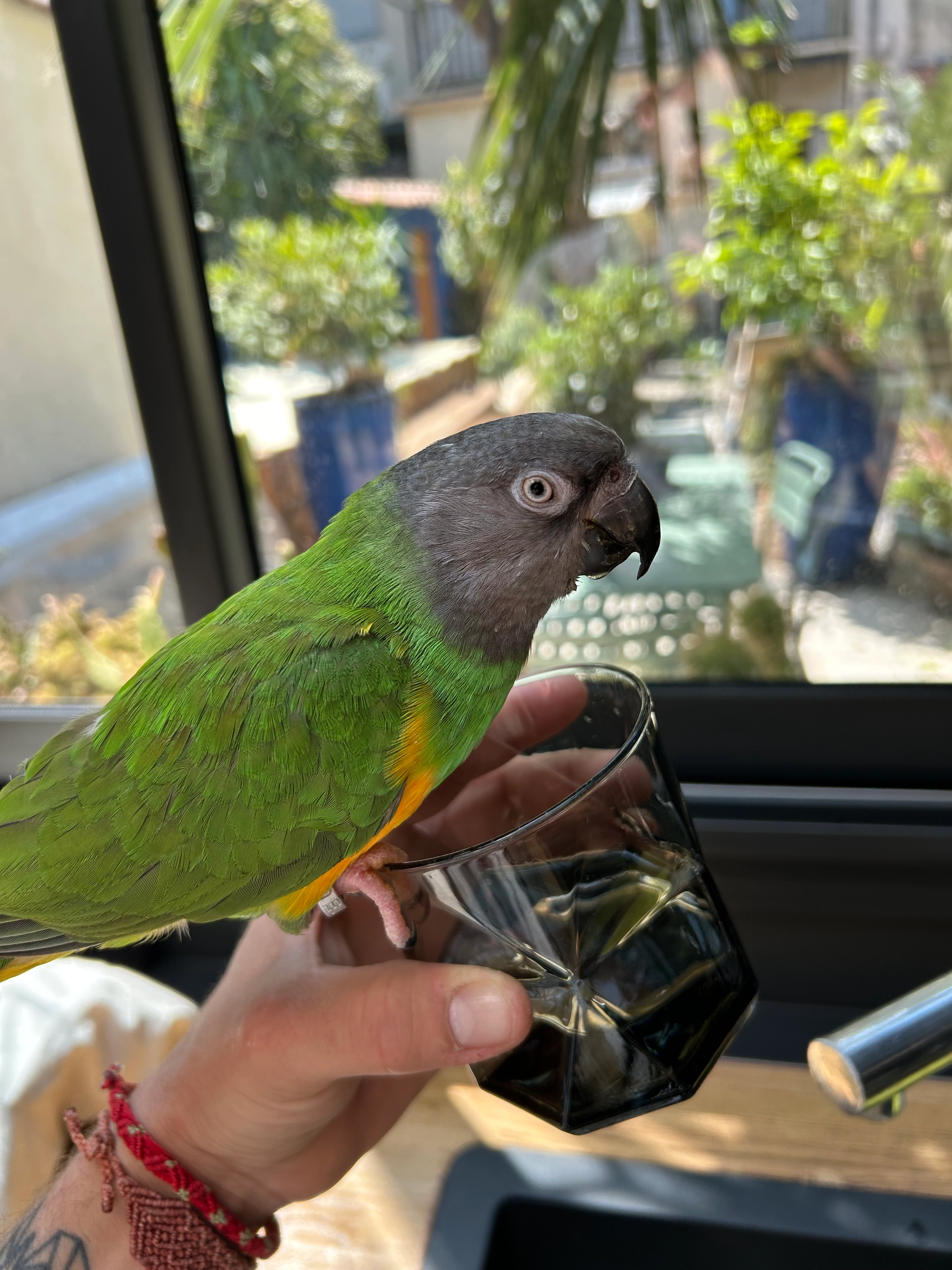 Mulan - Rue des Jardinets, Vailly-sur-Aisne