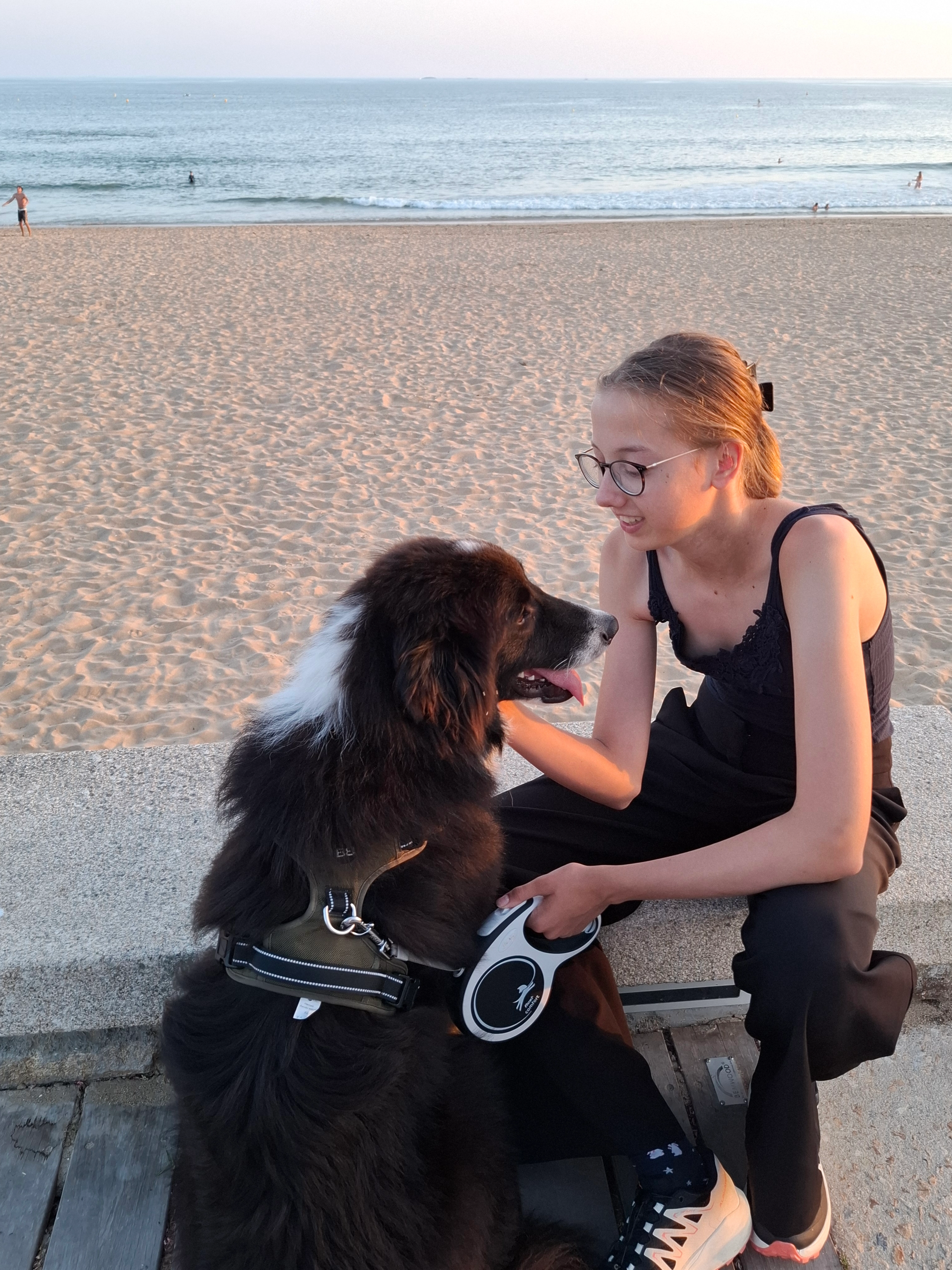 Panda - Pres de Crêpe Suzette et avenue des Acacias , Pornichet