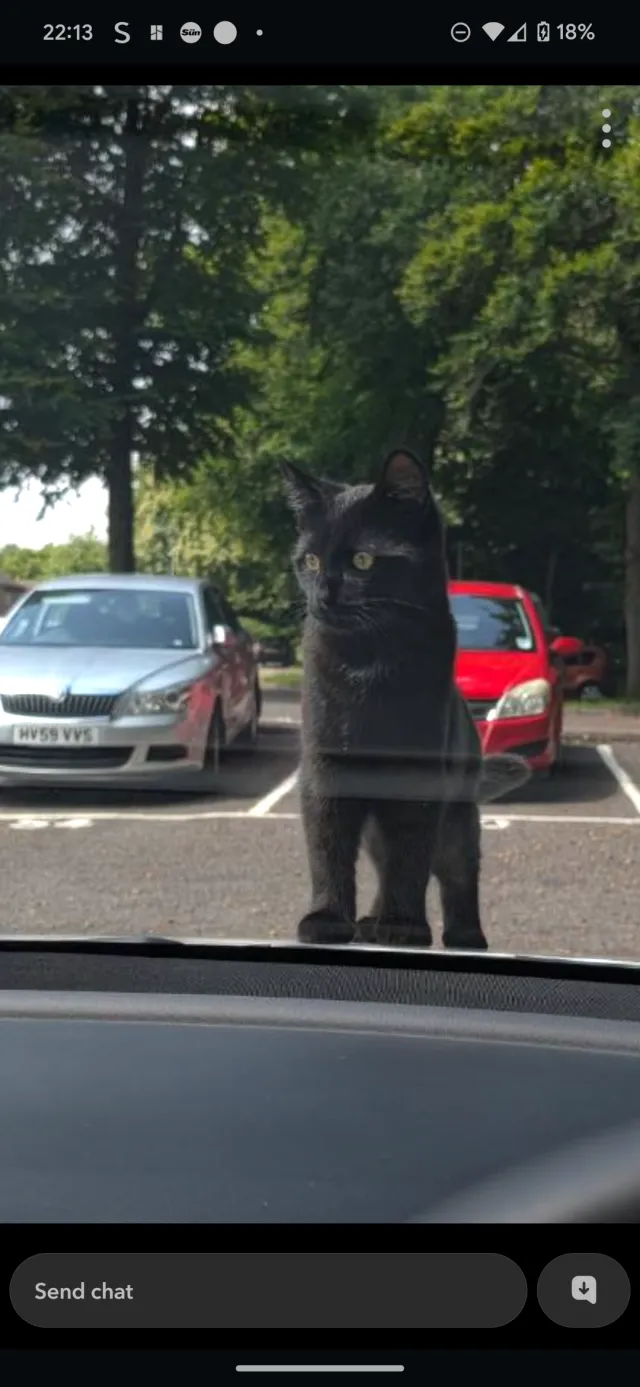 Nero - Kingfisher Close, Farnborough