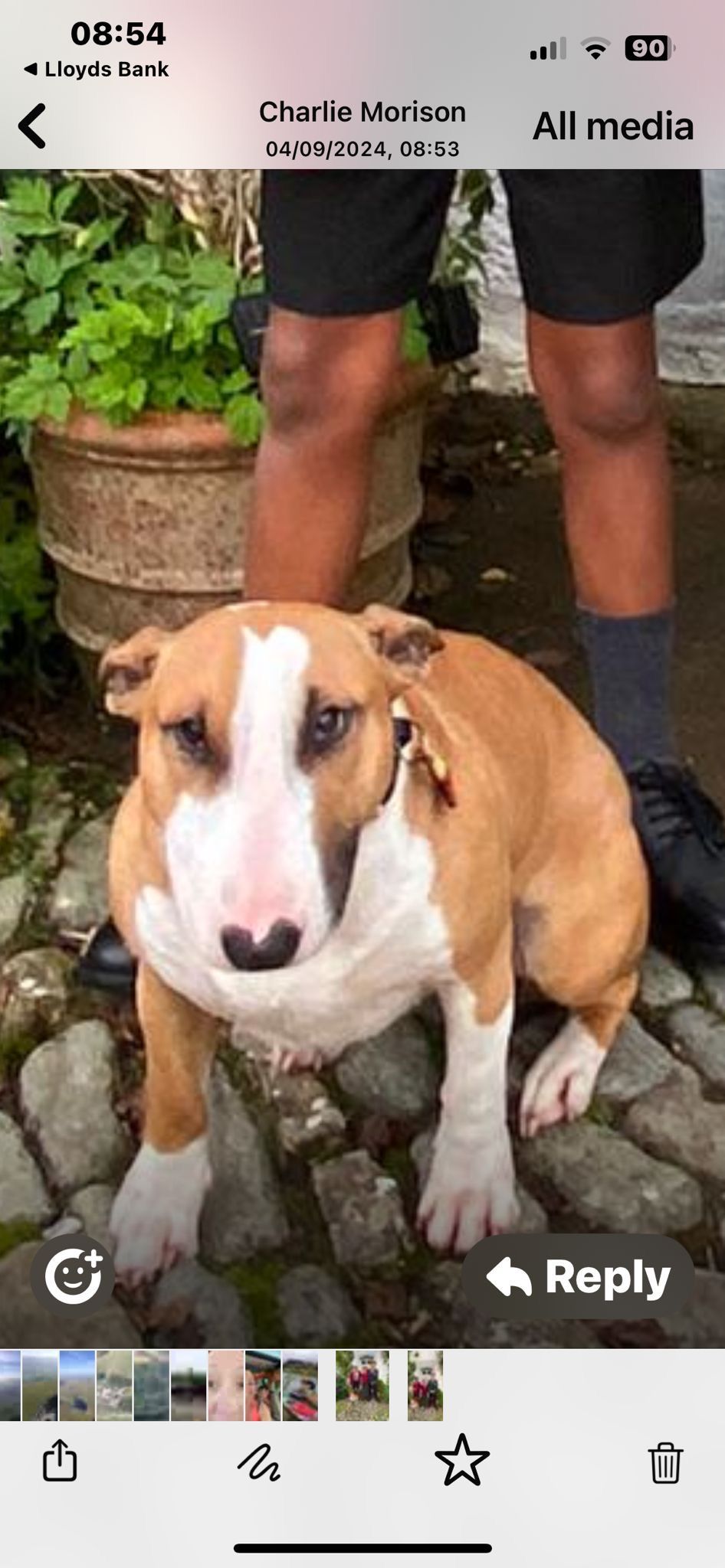 Safi - CA10 2QR, Penrith