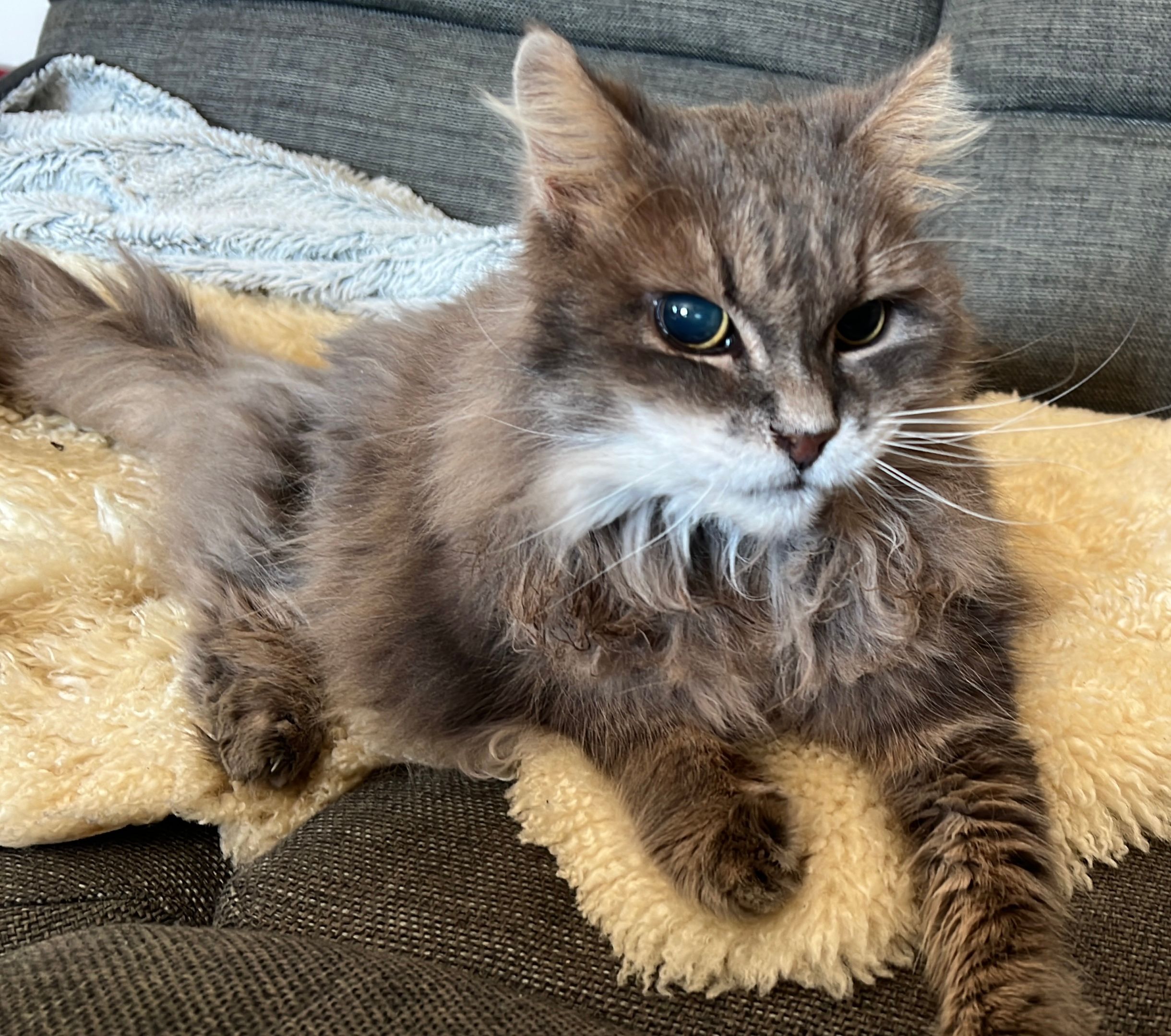 Minka - Klosterweg, Sankt Lorenzen im Mürztal